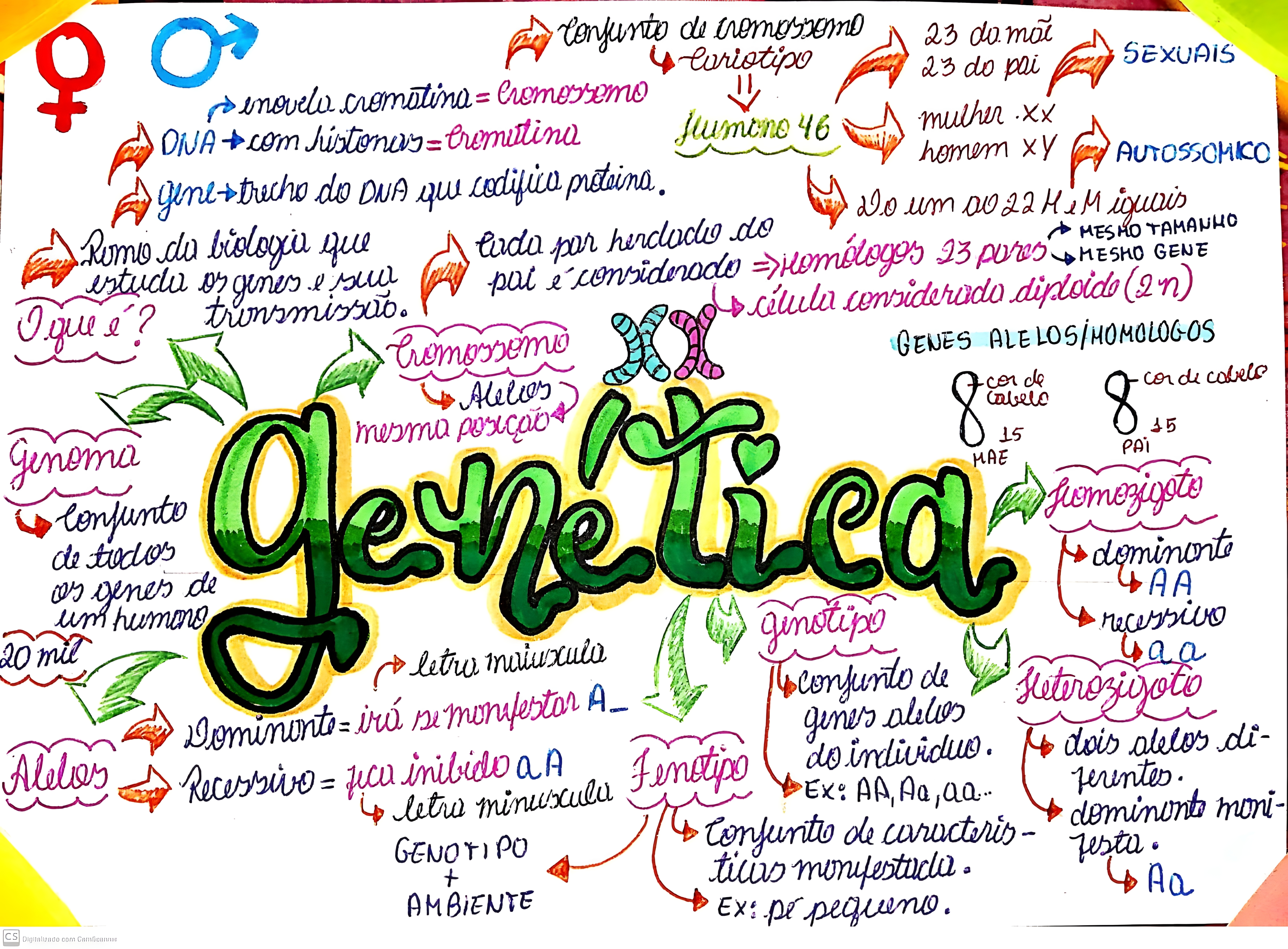 MAPA MENTAL SOBRE CONCEITOS DE GENETICA