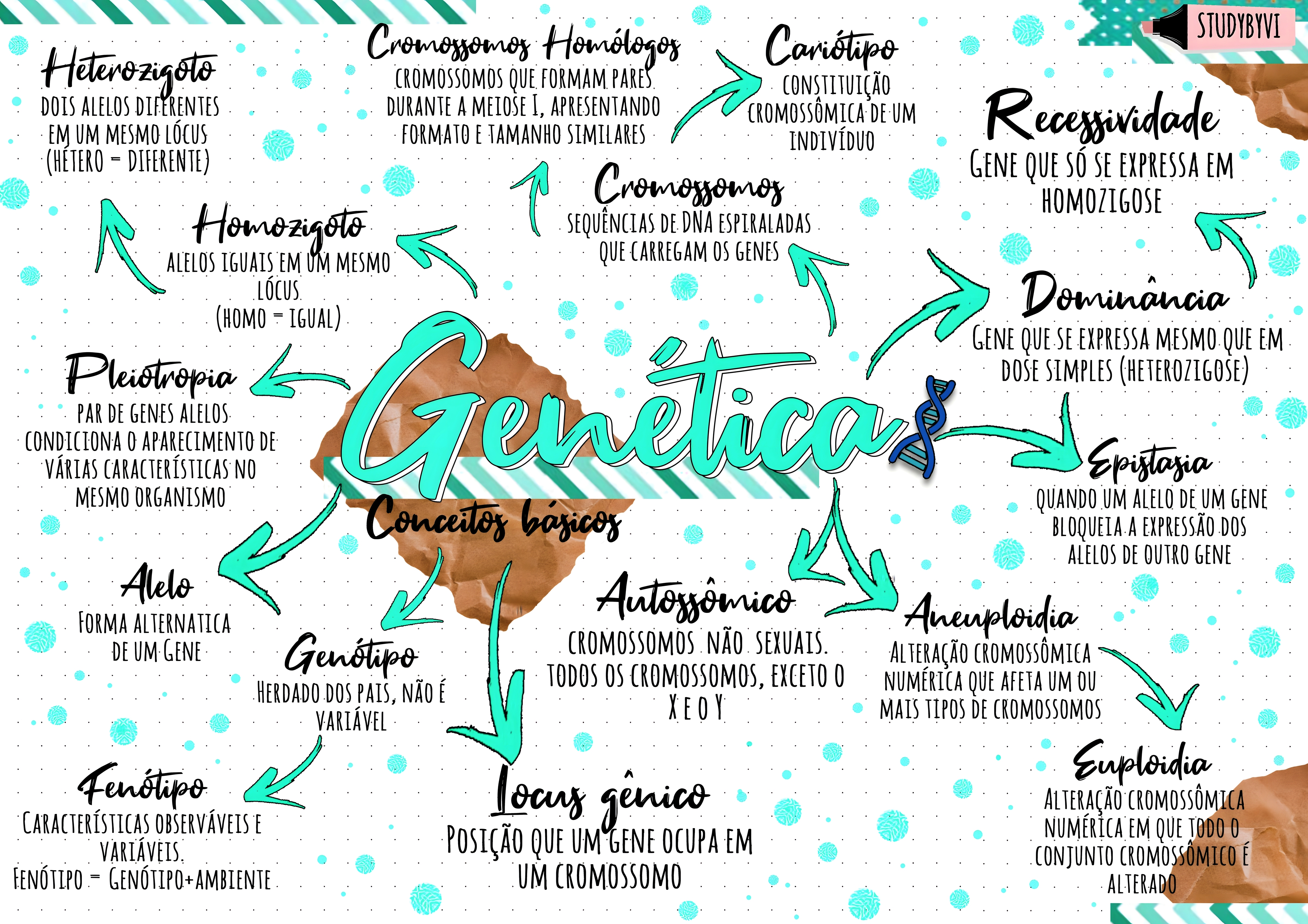 MAPA MENTAL SOBRE CONCEITOS DE GENETICA