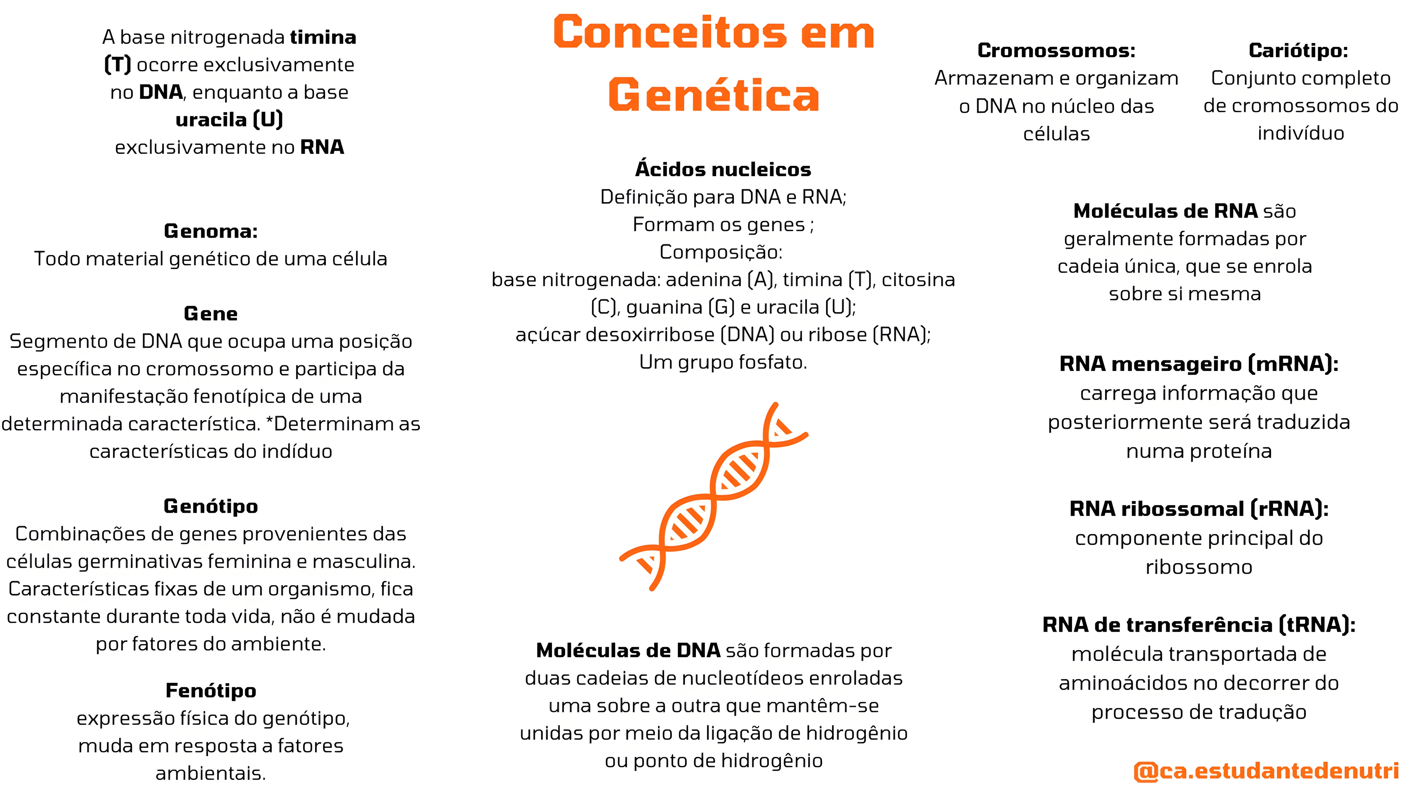 MAPA MENTAL SOBRE CONCEITOS DE GENETICA