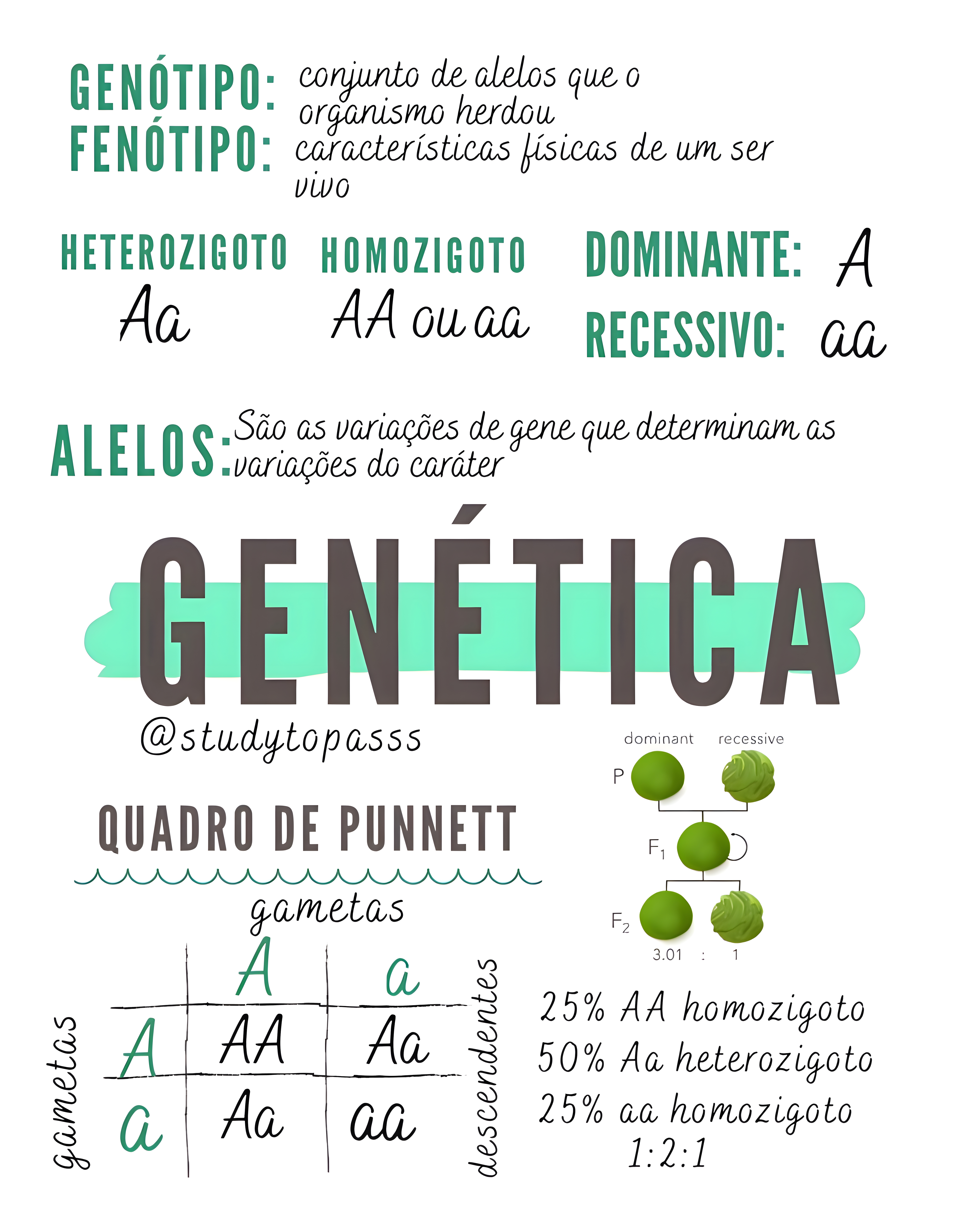 MAPA MENTAL SOBRE CONCEITOS DE GENETICA