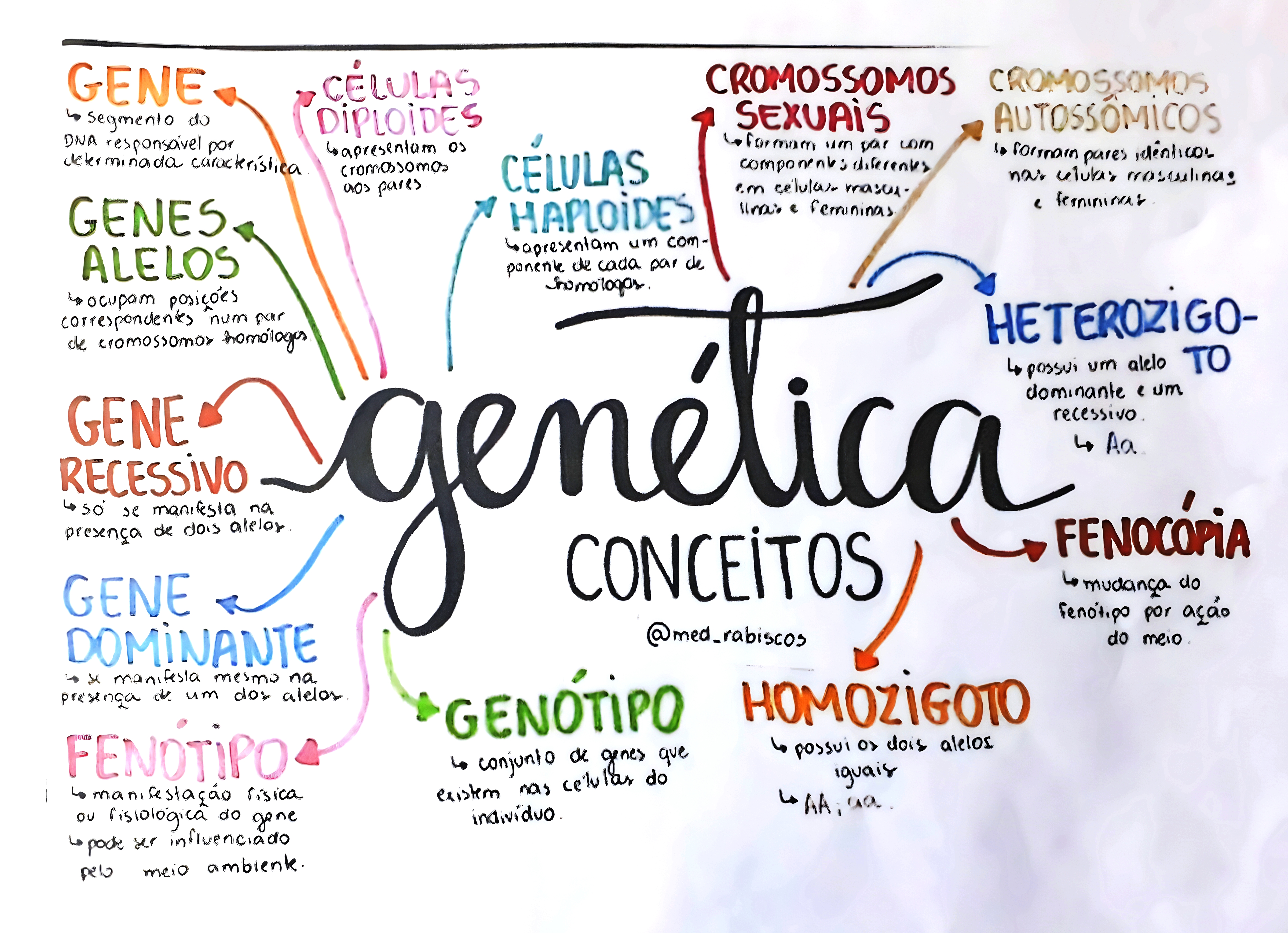 MAPA MENTAL SOBRE CONCEITOS DE GENETICA