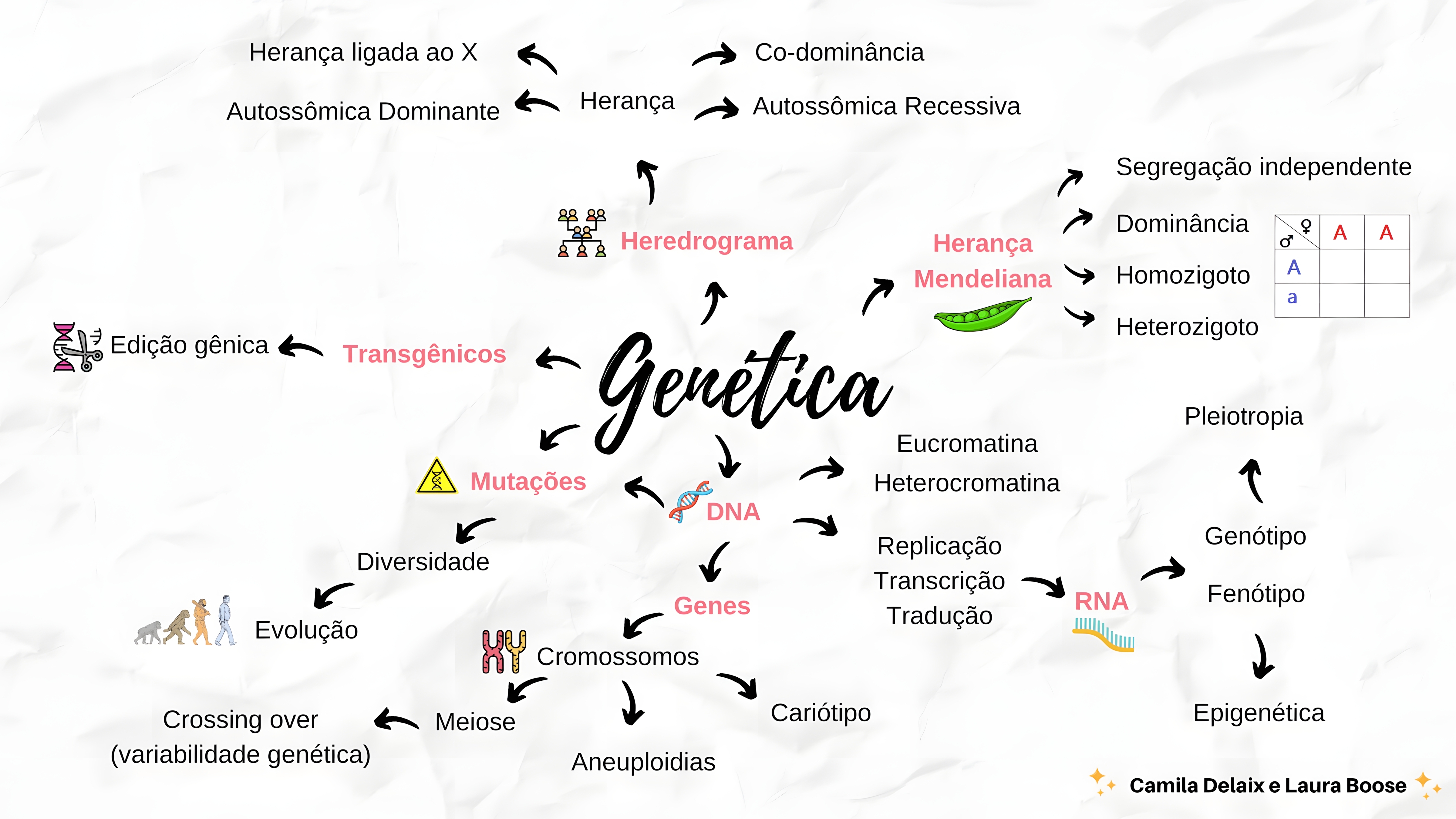 MAPA MENTAL SOBRE CONCEITOS DE GENETICA