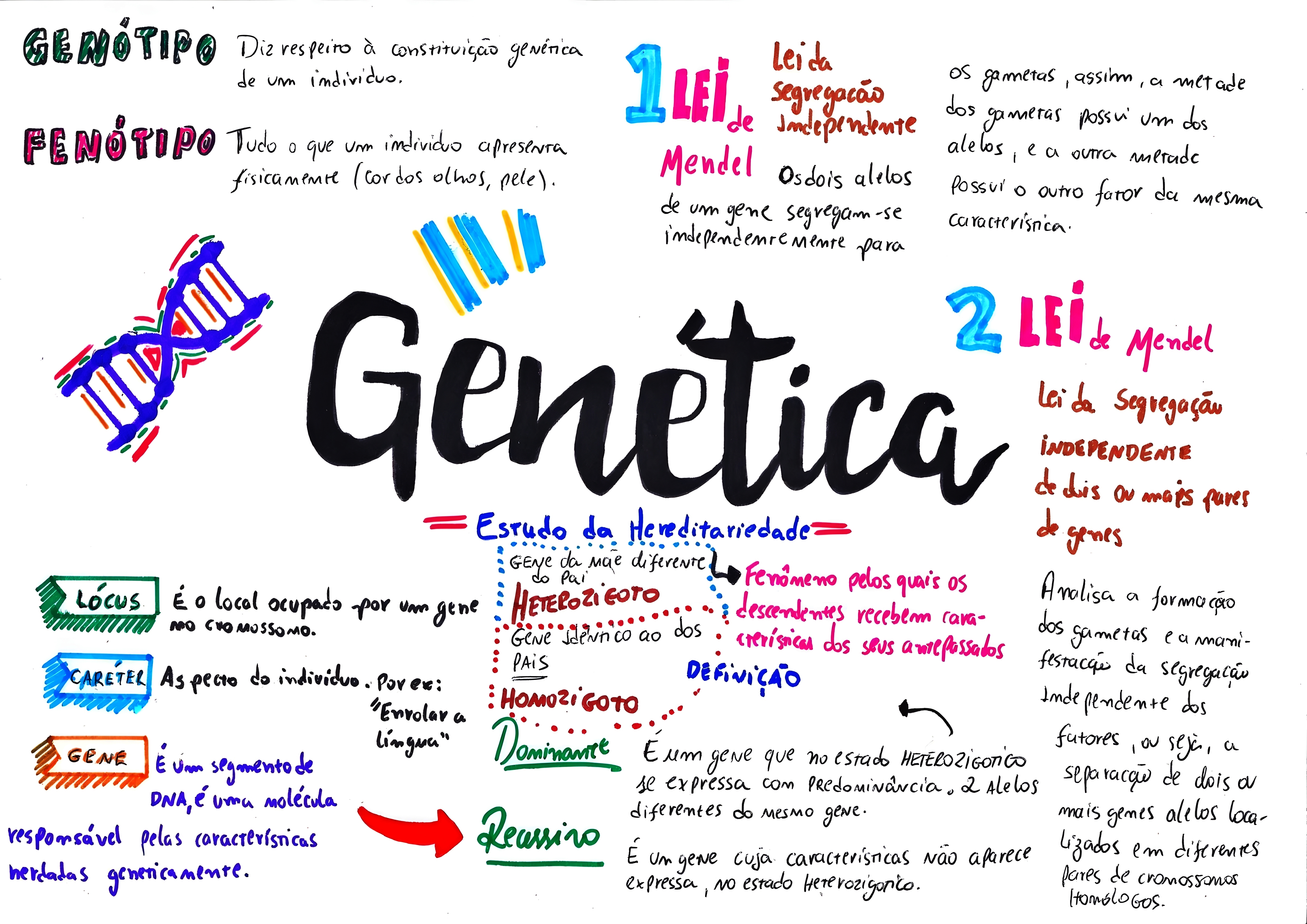 MAPA MENTAL SOBRE CONCEITOS DE GENETICA