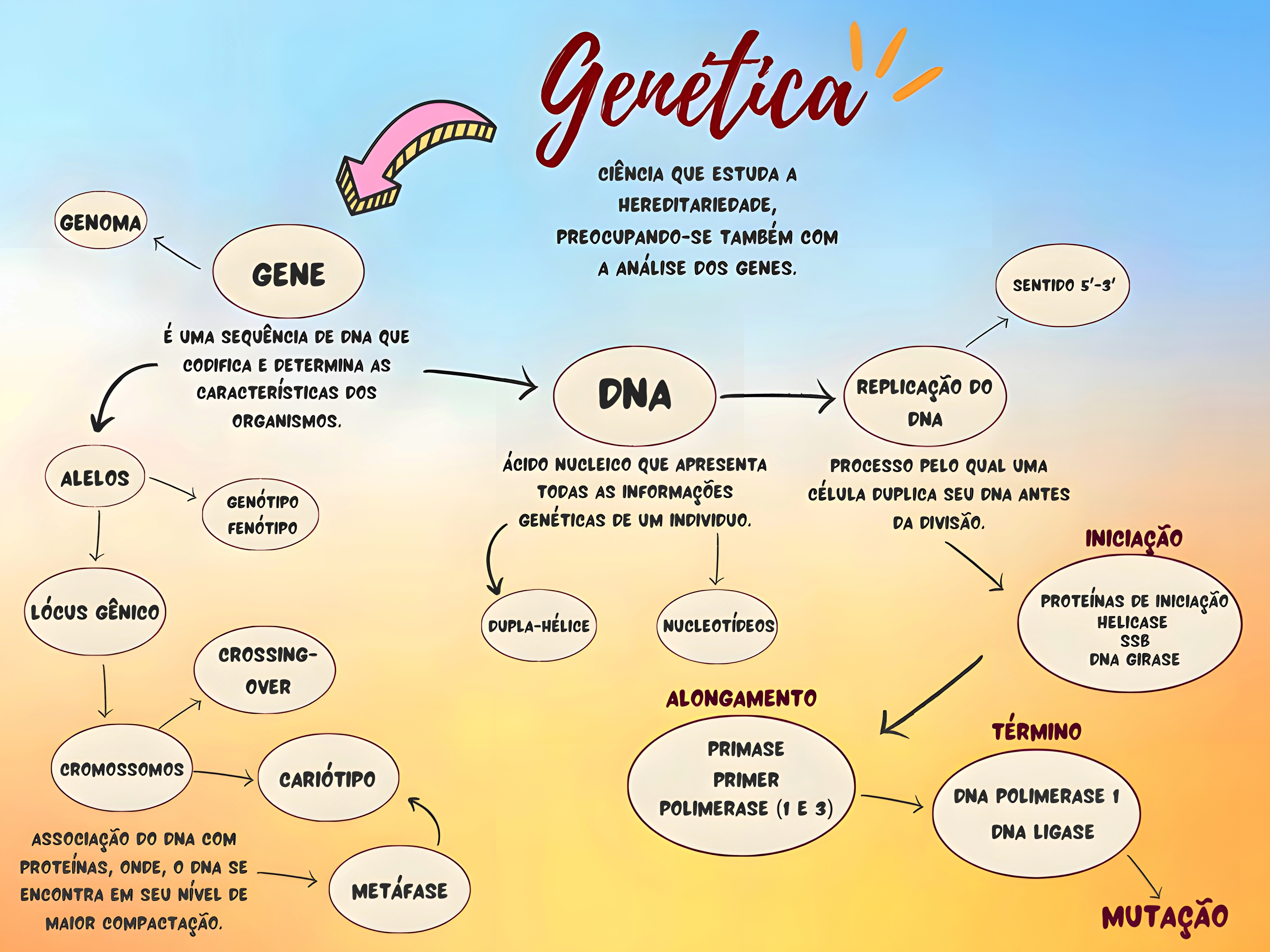 MAPA MENTAL SOBRE CONCEITOS DE GENETICA