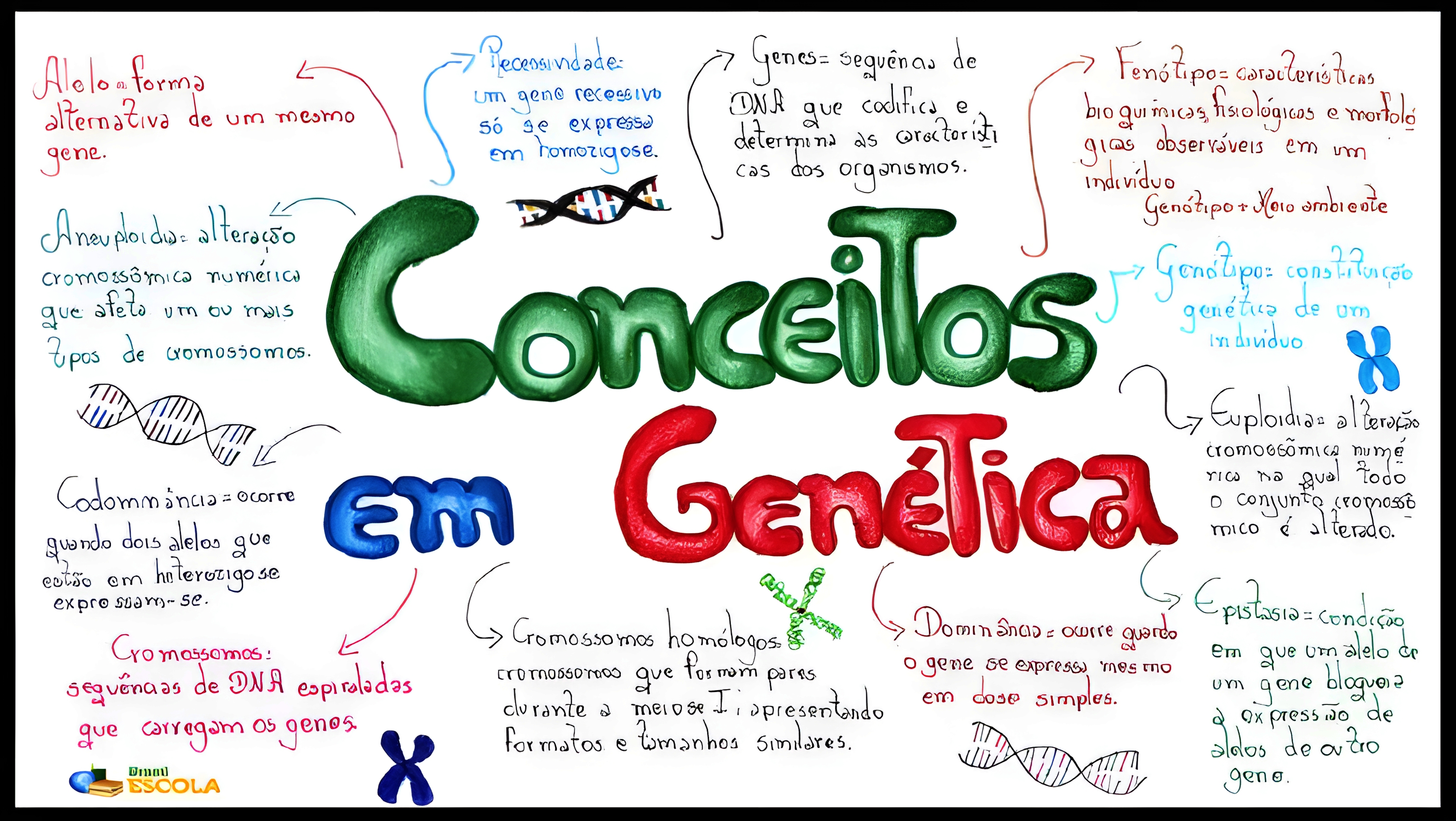 MAPA MENTAL SOBRE CONCEITOS DE GENETICA
