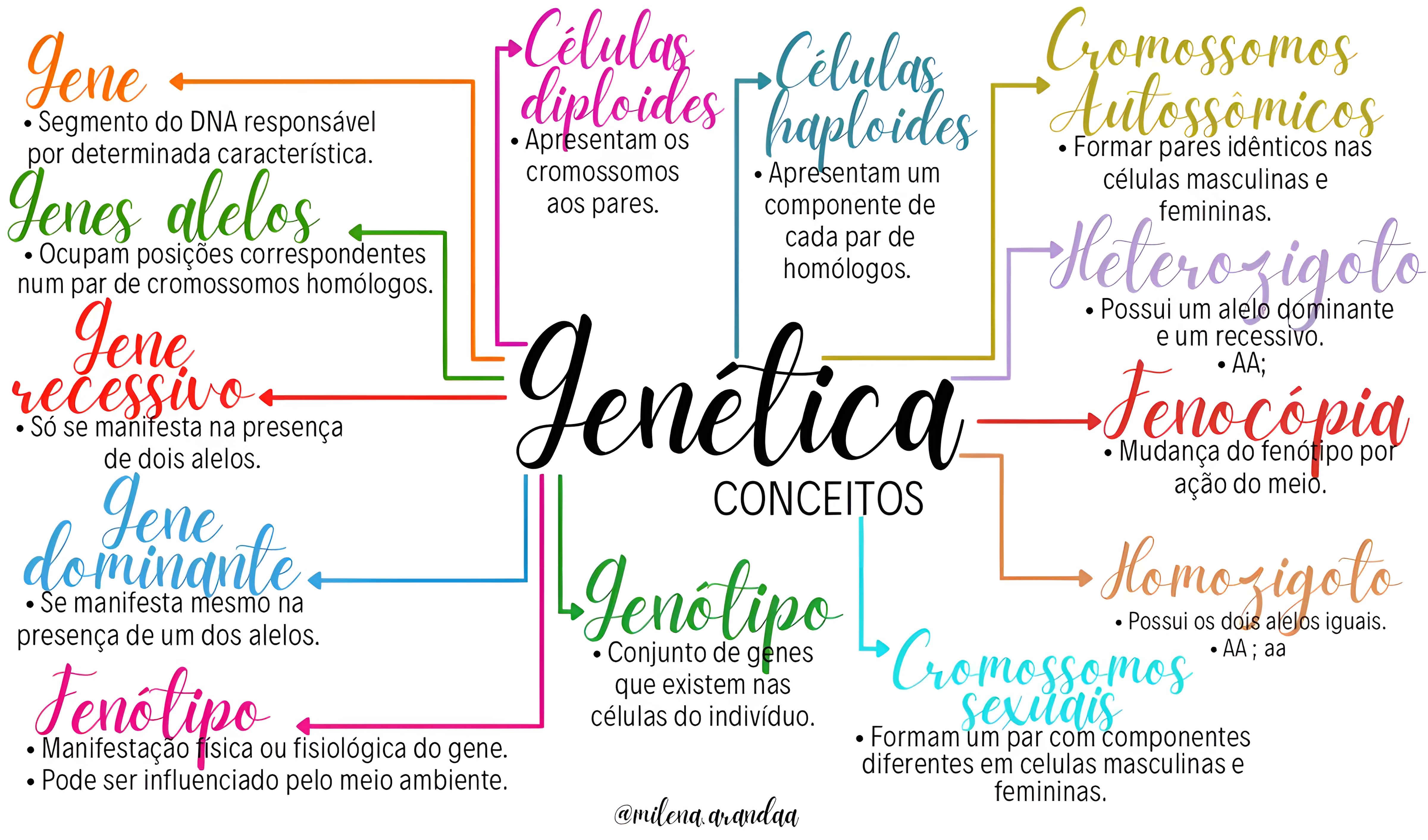 MAPA MENTAL SOBRE CONCEITOS DE GENETICA
