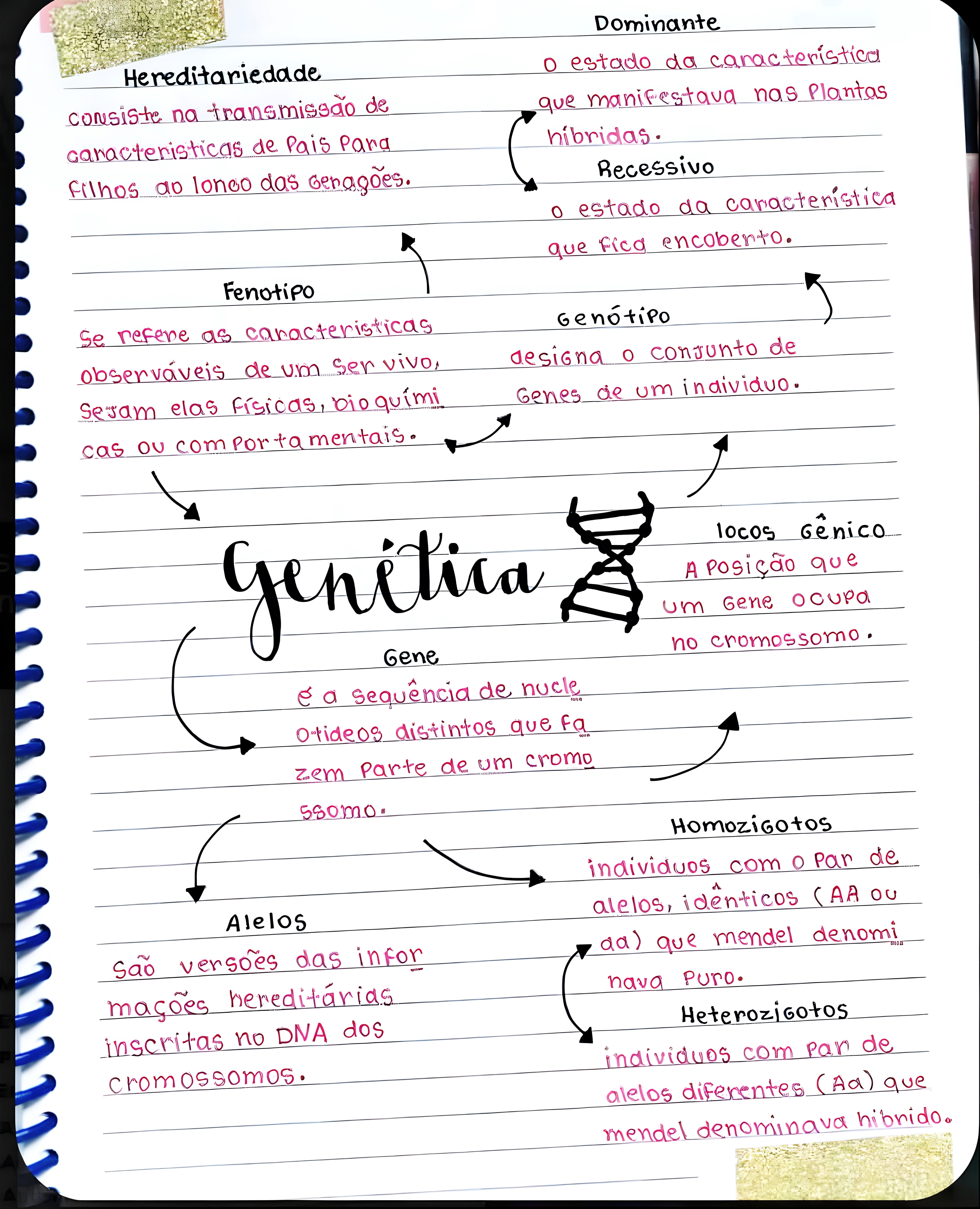MAPA MENTAL SOBRE CONCEITOS DE GENETICA