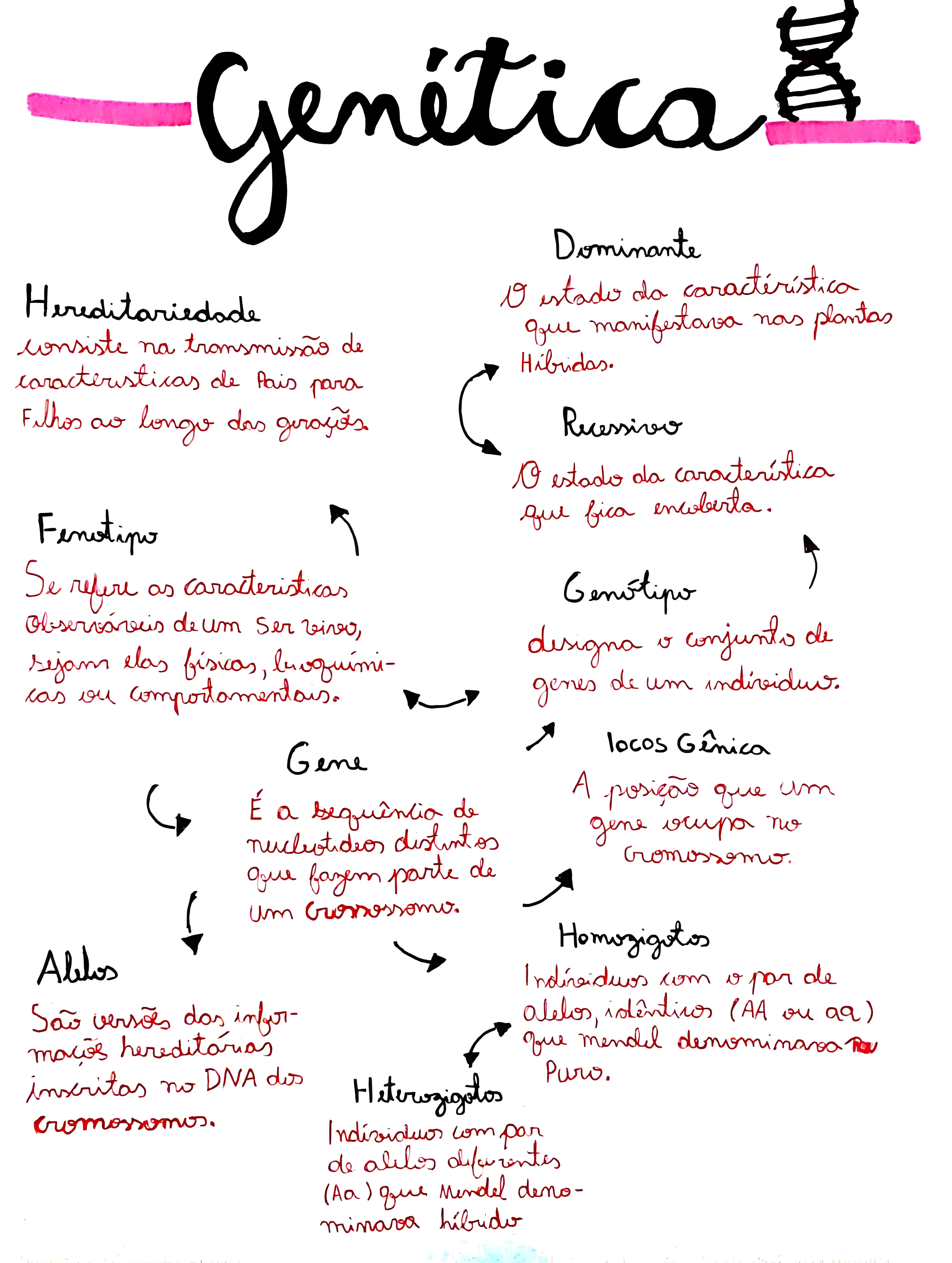 MAPA MENTAL SOBRE CONCEITOS DE GENETICA