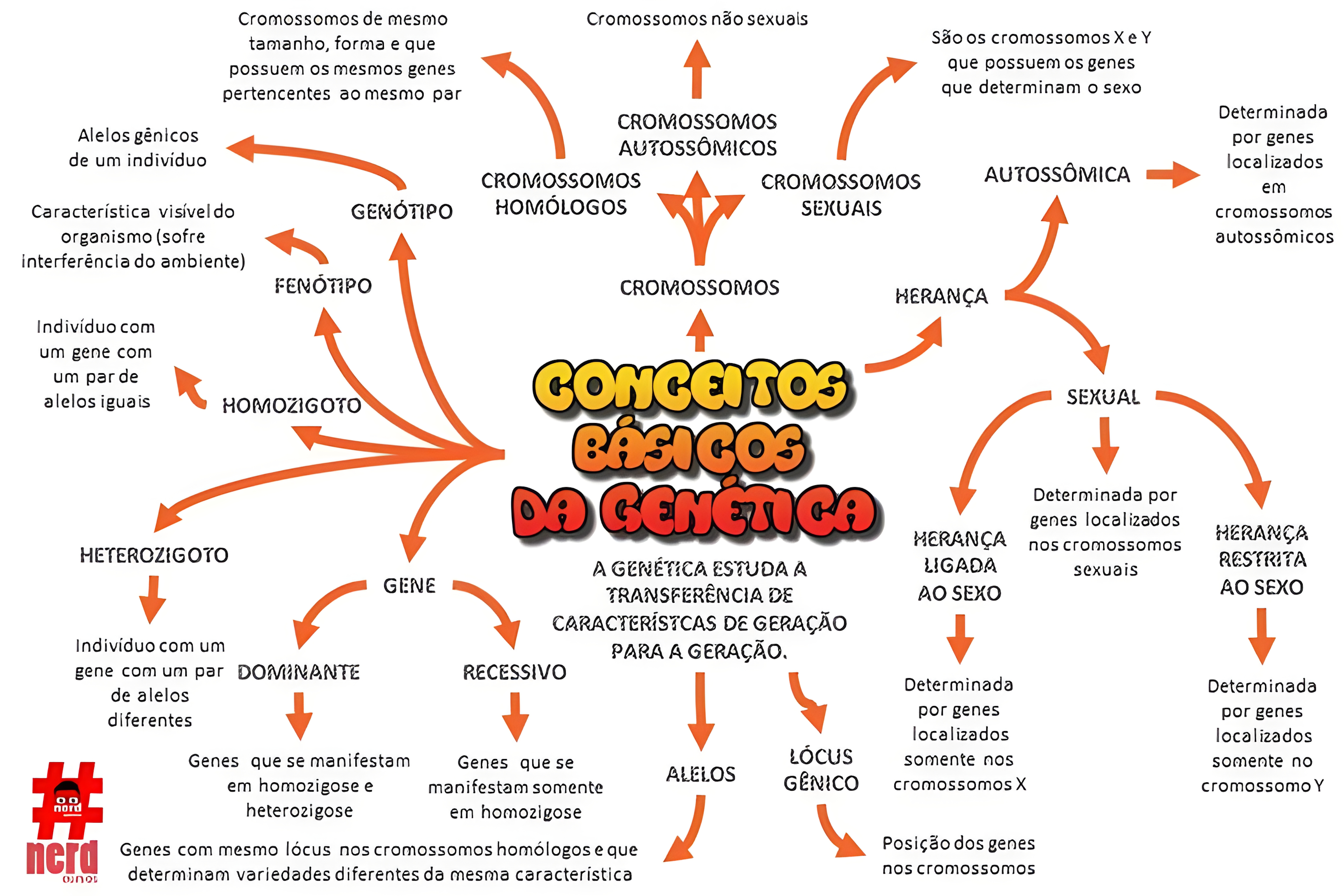 MAPA MENTAL SOBRE CONCEITOS DE GENETICA