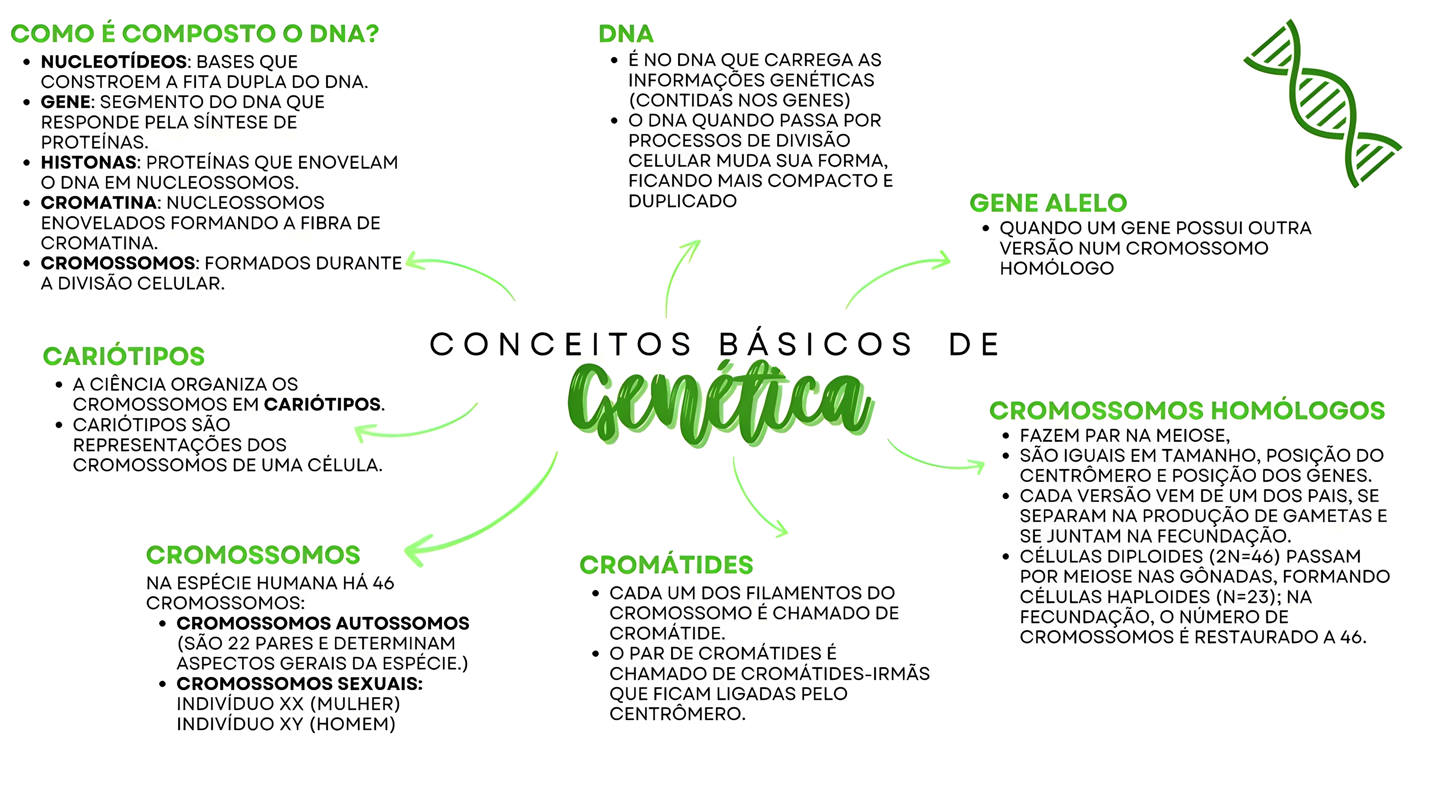 MAPA MENTAL SOBRE CONCEITOS DE GENETICA
