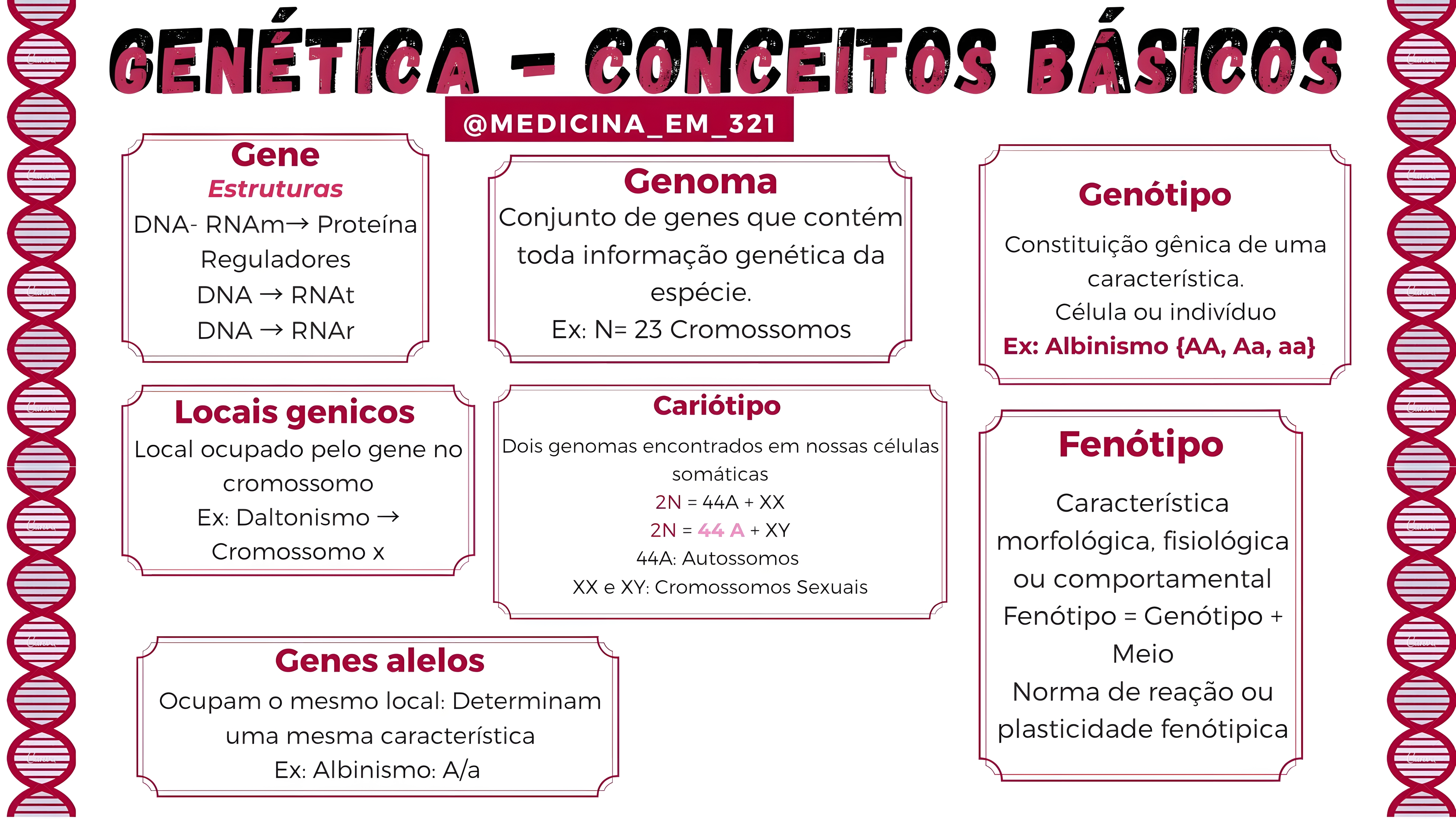 MAPA MENTAL SOBRE CONCEITOS DE GENETICA