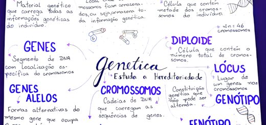 MAPA MENTAL SOBRE CONCEITOS DE GENETICA