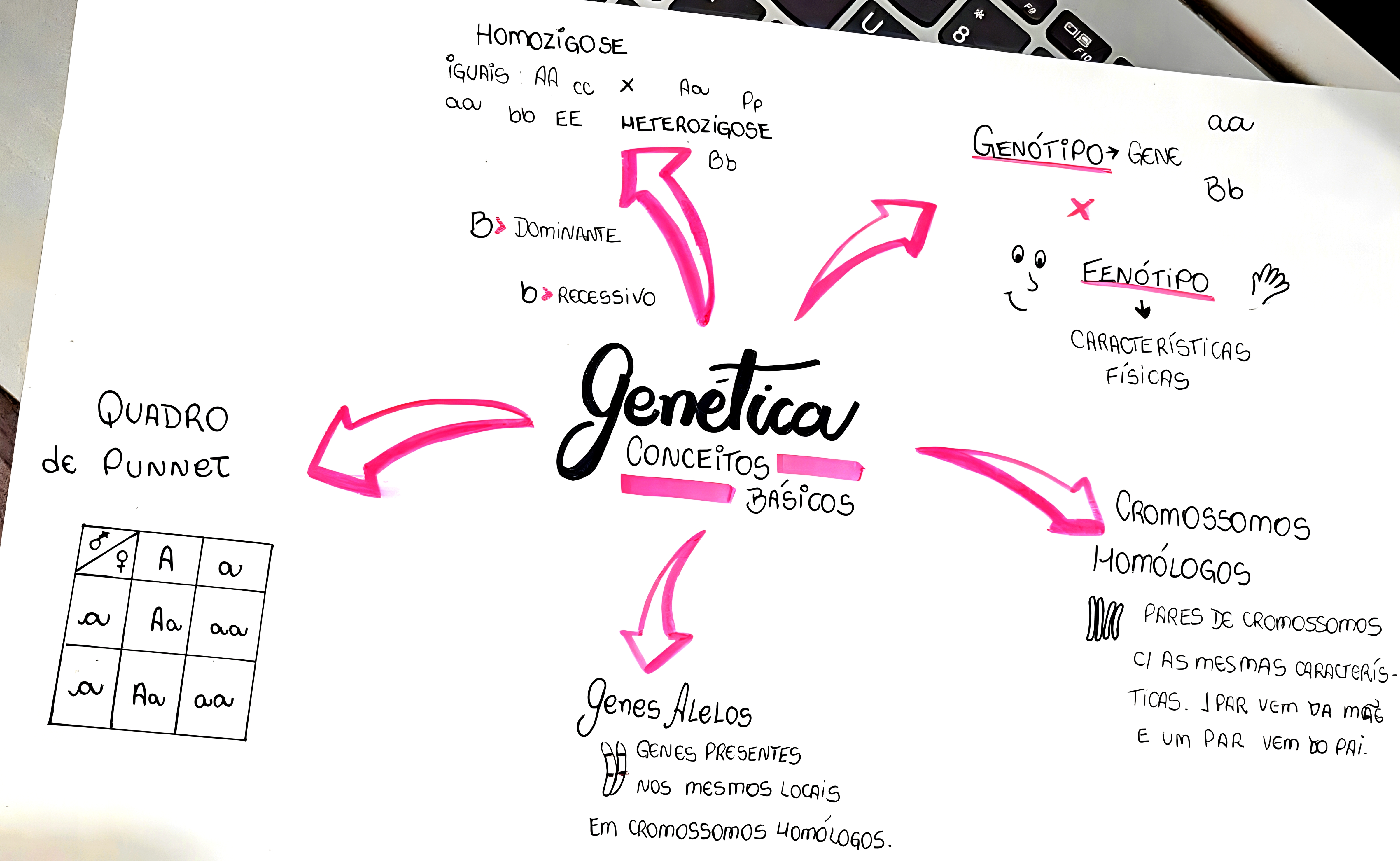 MAPA MENTAL SOBRE CONCEITOS DE GENETICA
