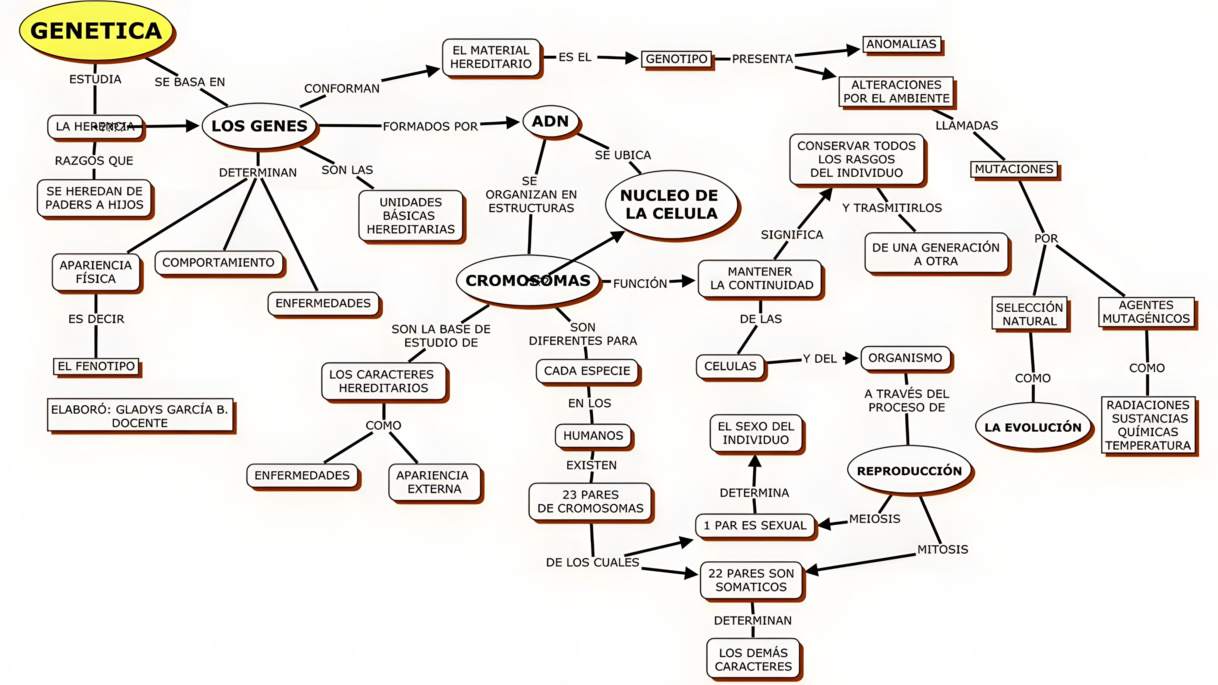 MAPA MENTAL SOBRE CONCEITOS DE GENETICA