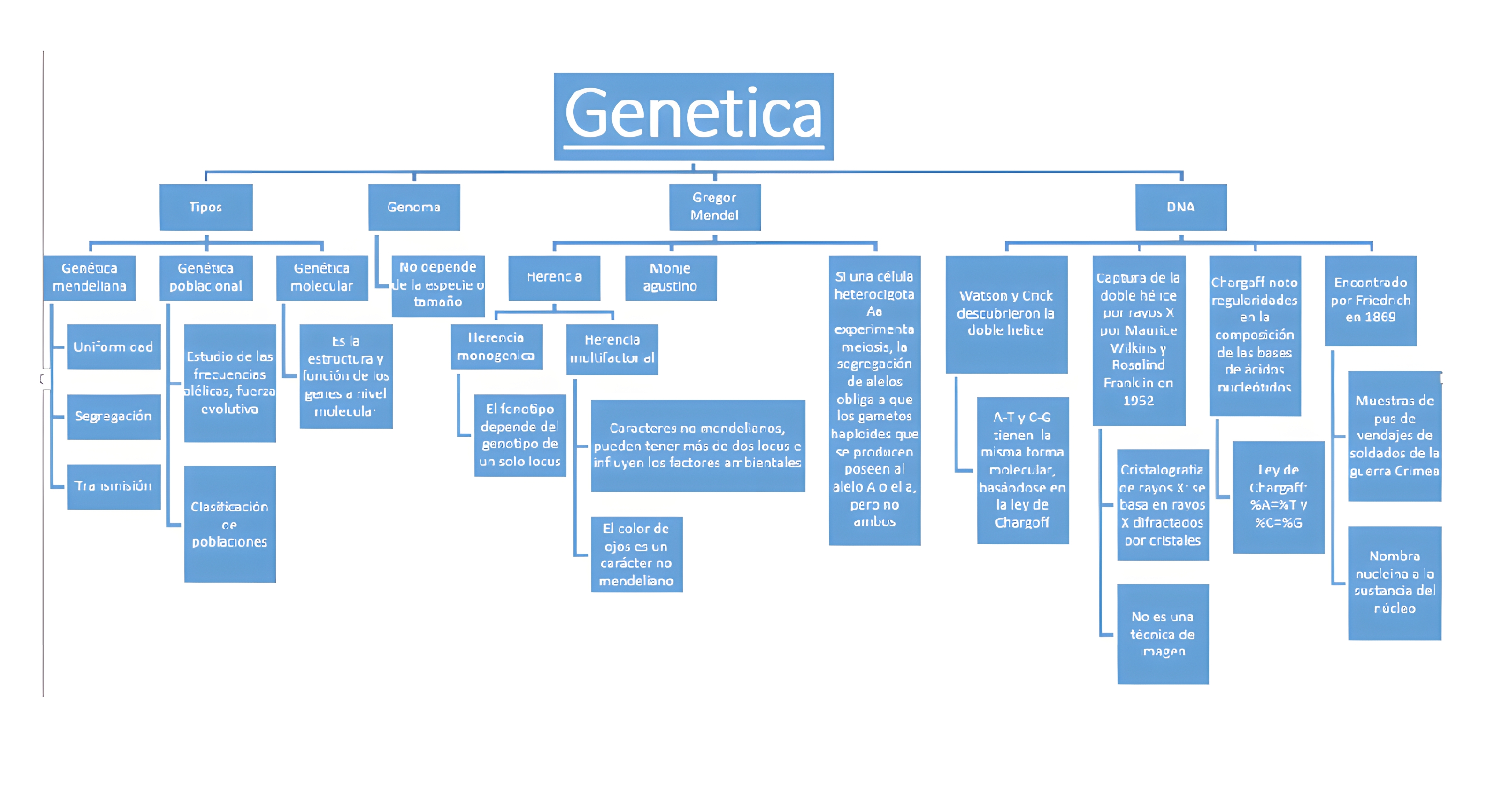 MAPA MENTAL SOBRE CONCEITOS DE GENETICA