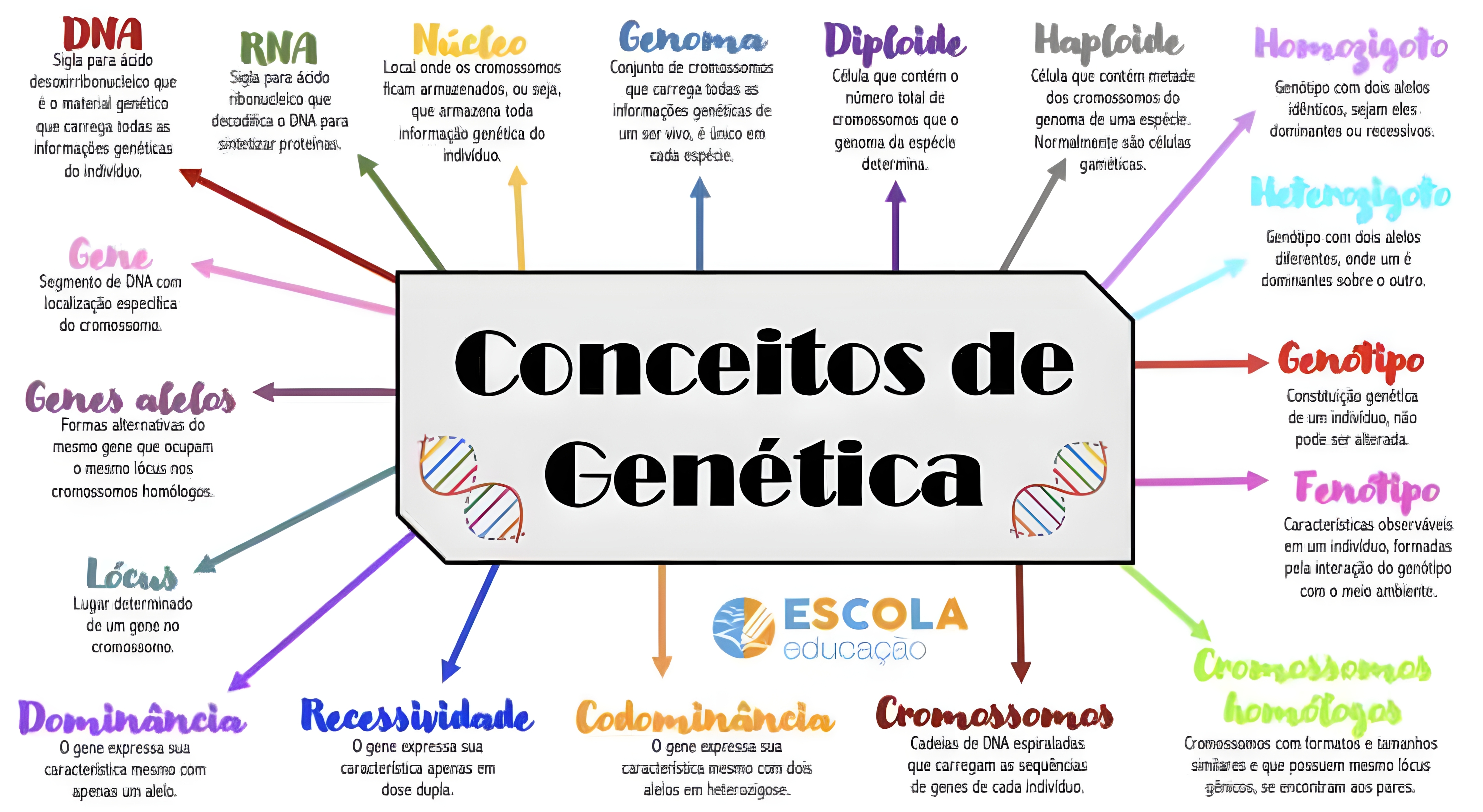MAPA MENTAL SOBRE CONCEITOS DE GENETICA