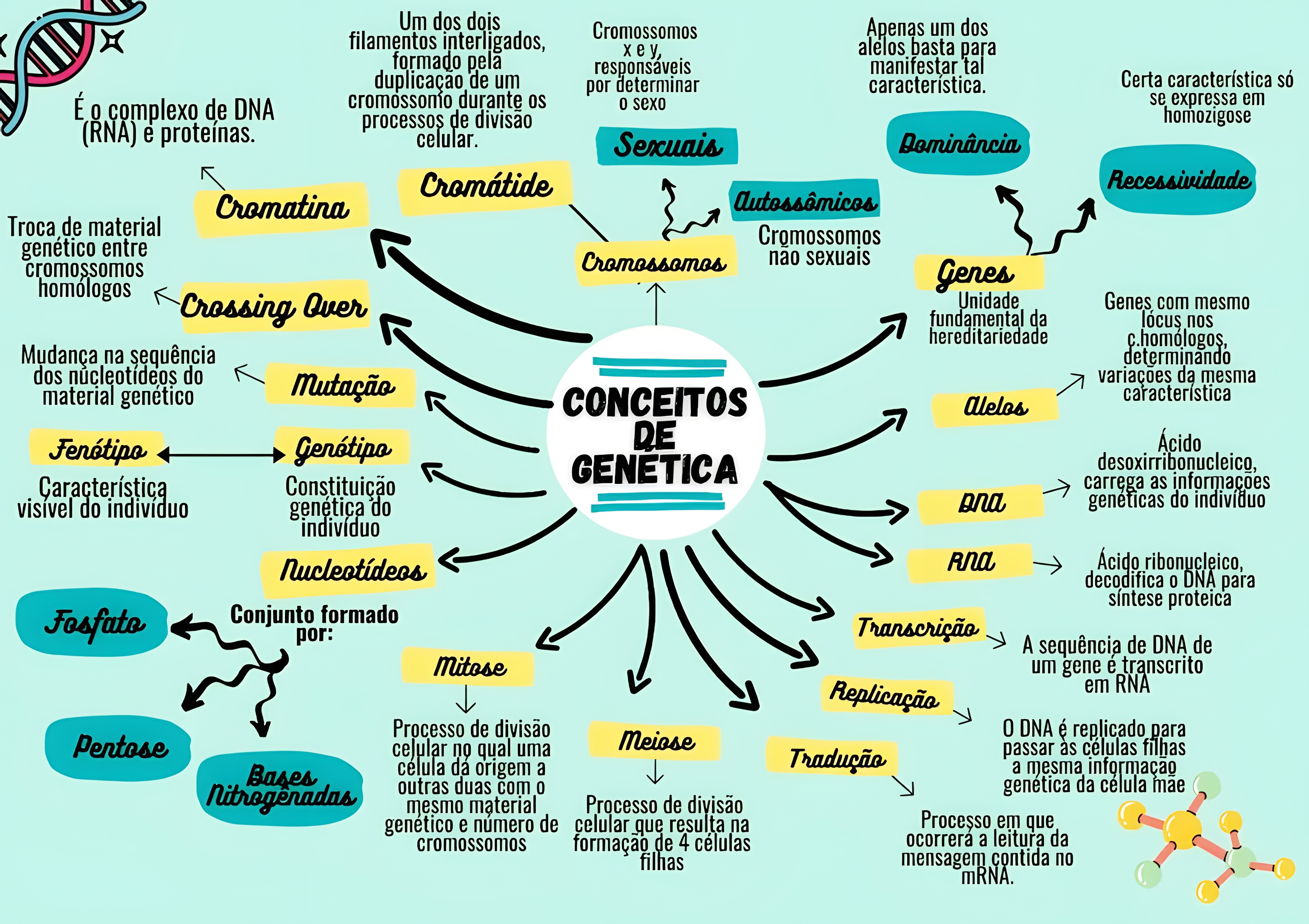 MAPA MENTAL SOBRE CONCEITOS DE GENETICA