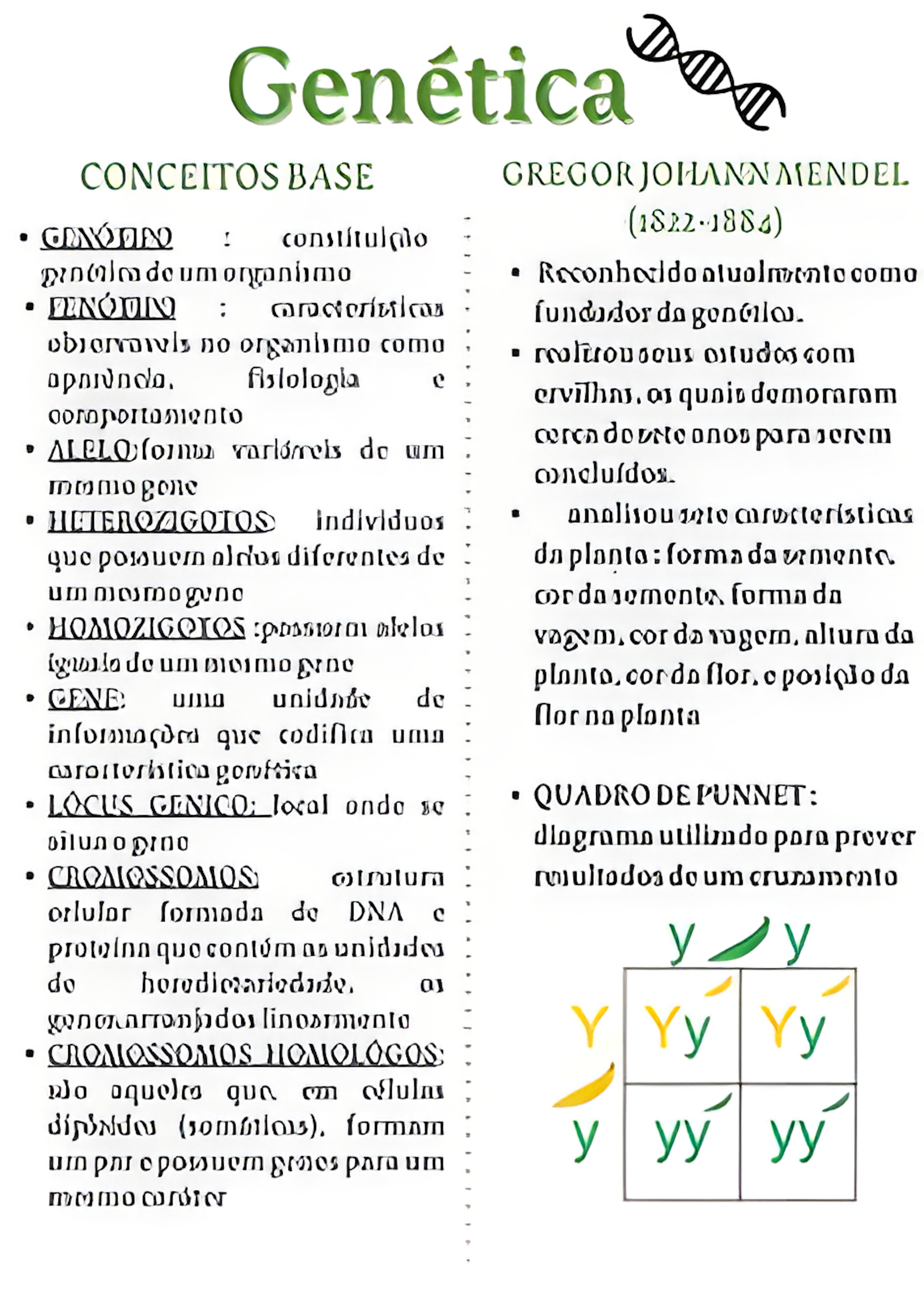 MAPA MENTAL SOBRE CONCEITOS DE GENETICA