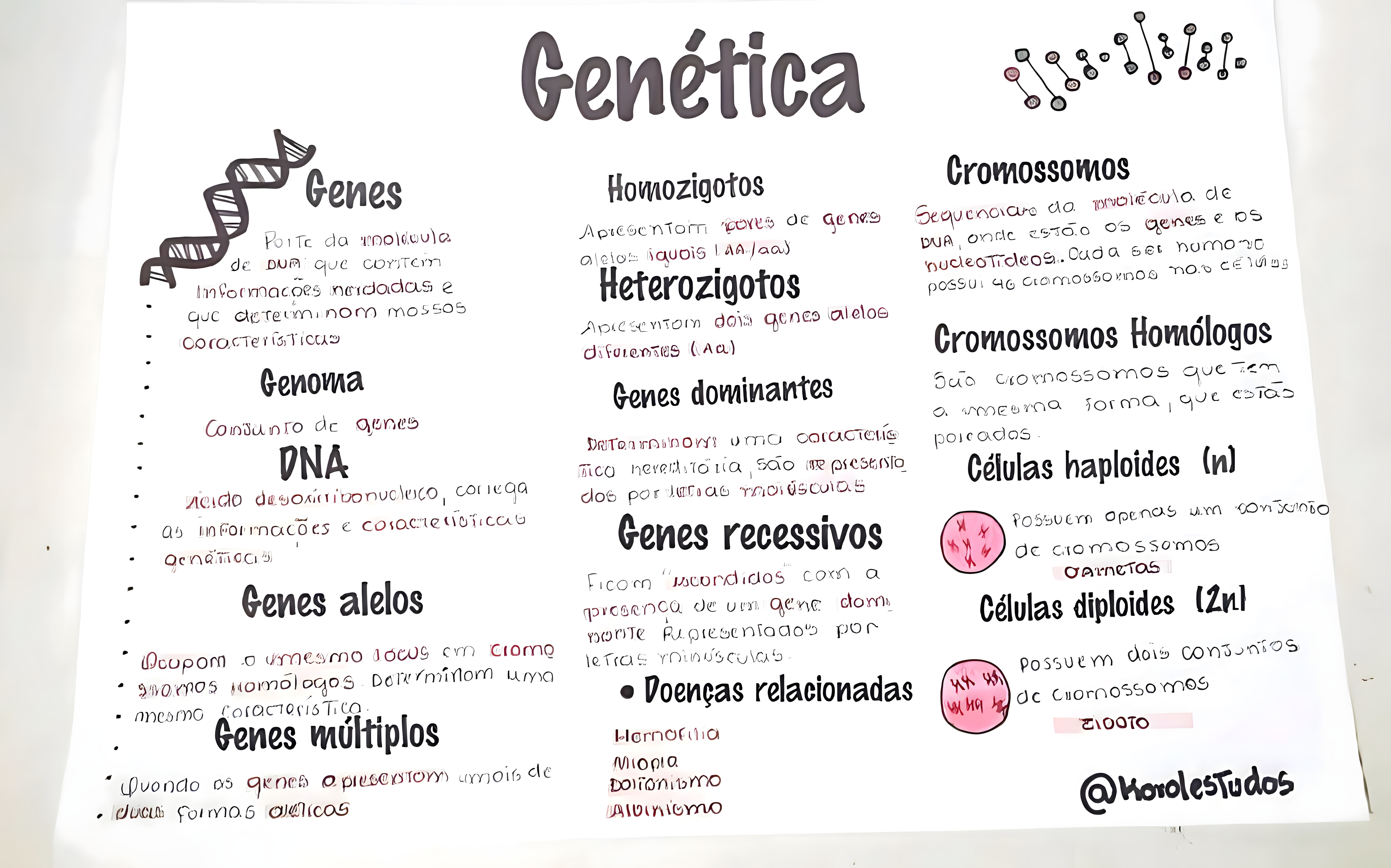 MAPA MENTAL SOBRE CONCEITOS DE GENETICA
