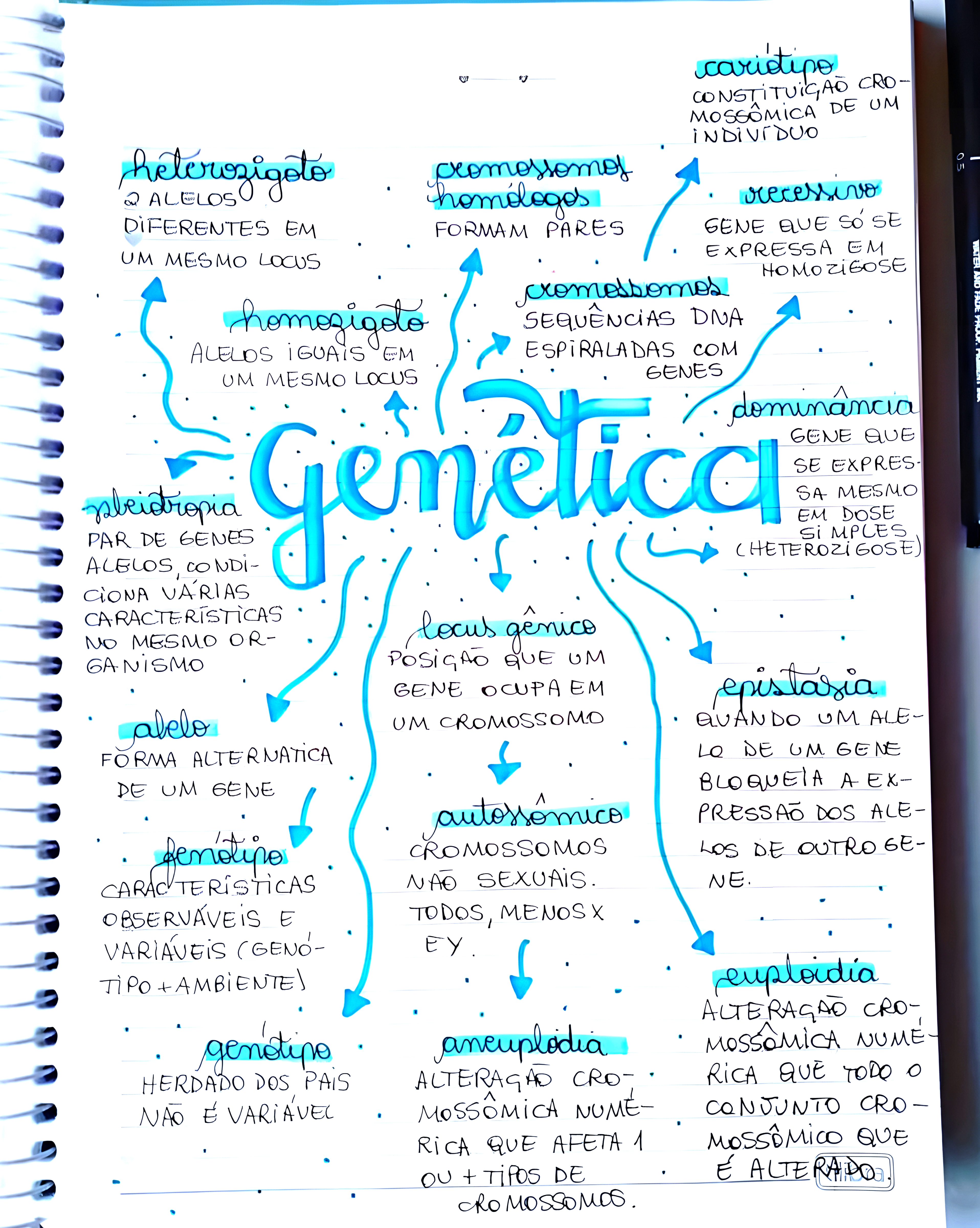 MAPA MENTAL SOBRE CONCEITOS DE GENETICA