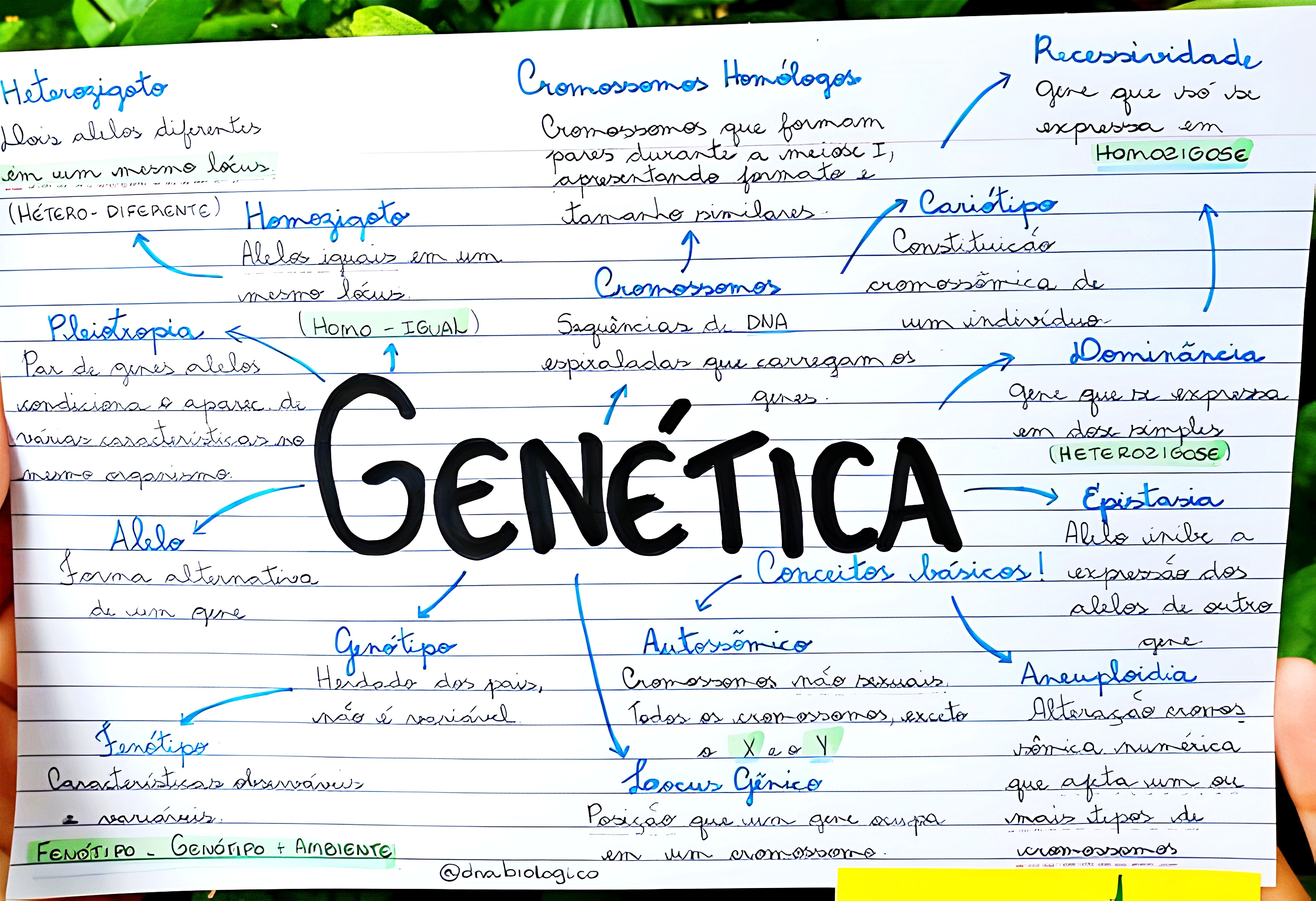 MAPA MENTAL SOBRE CONCEITOS DE GENETICA