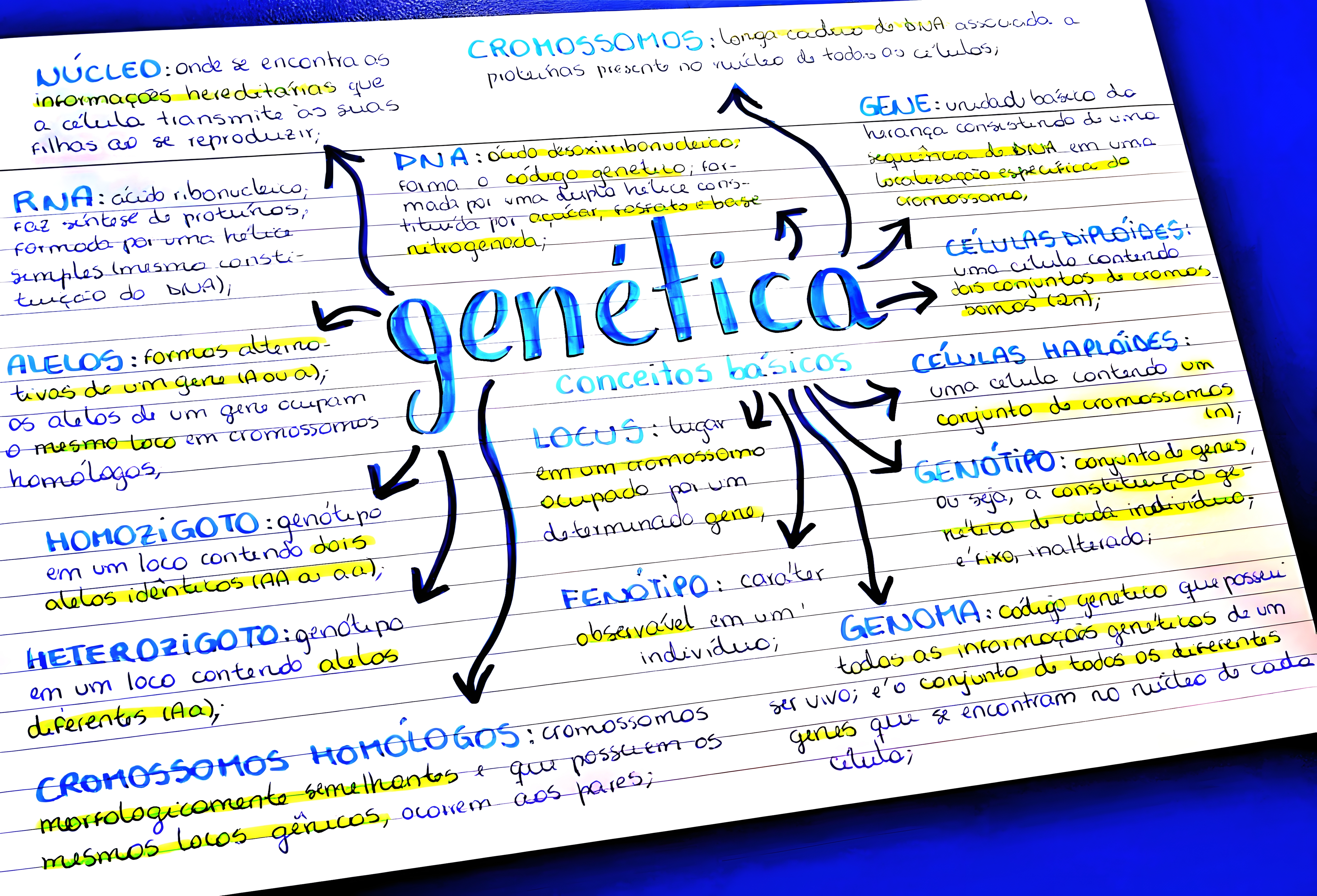 MAPA MENTAL SOBRE CONCEITOS DE GENETICA