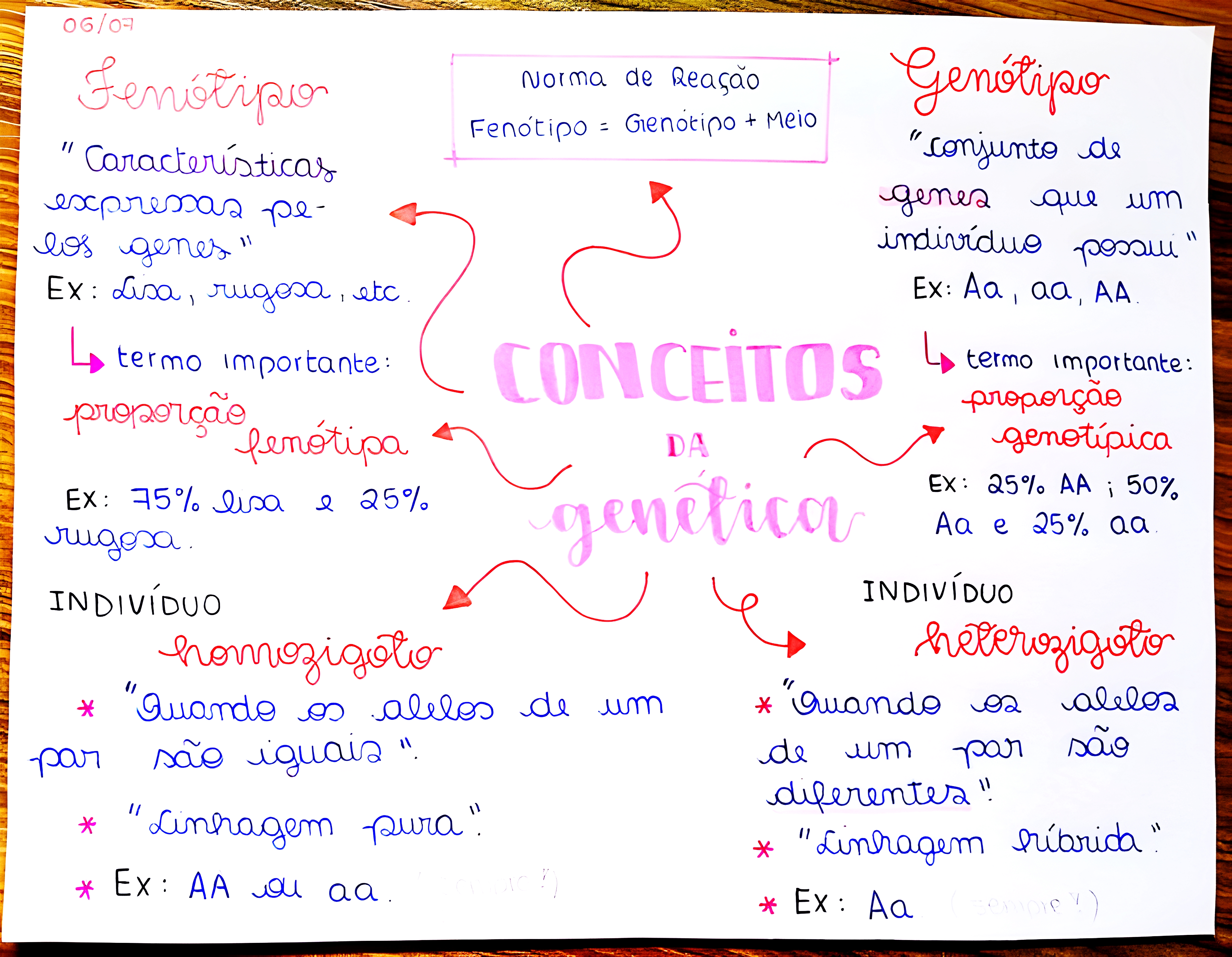 MAPA MENTAL SOBRE CONCEITOS DE GENETICA