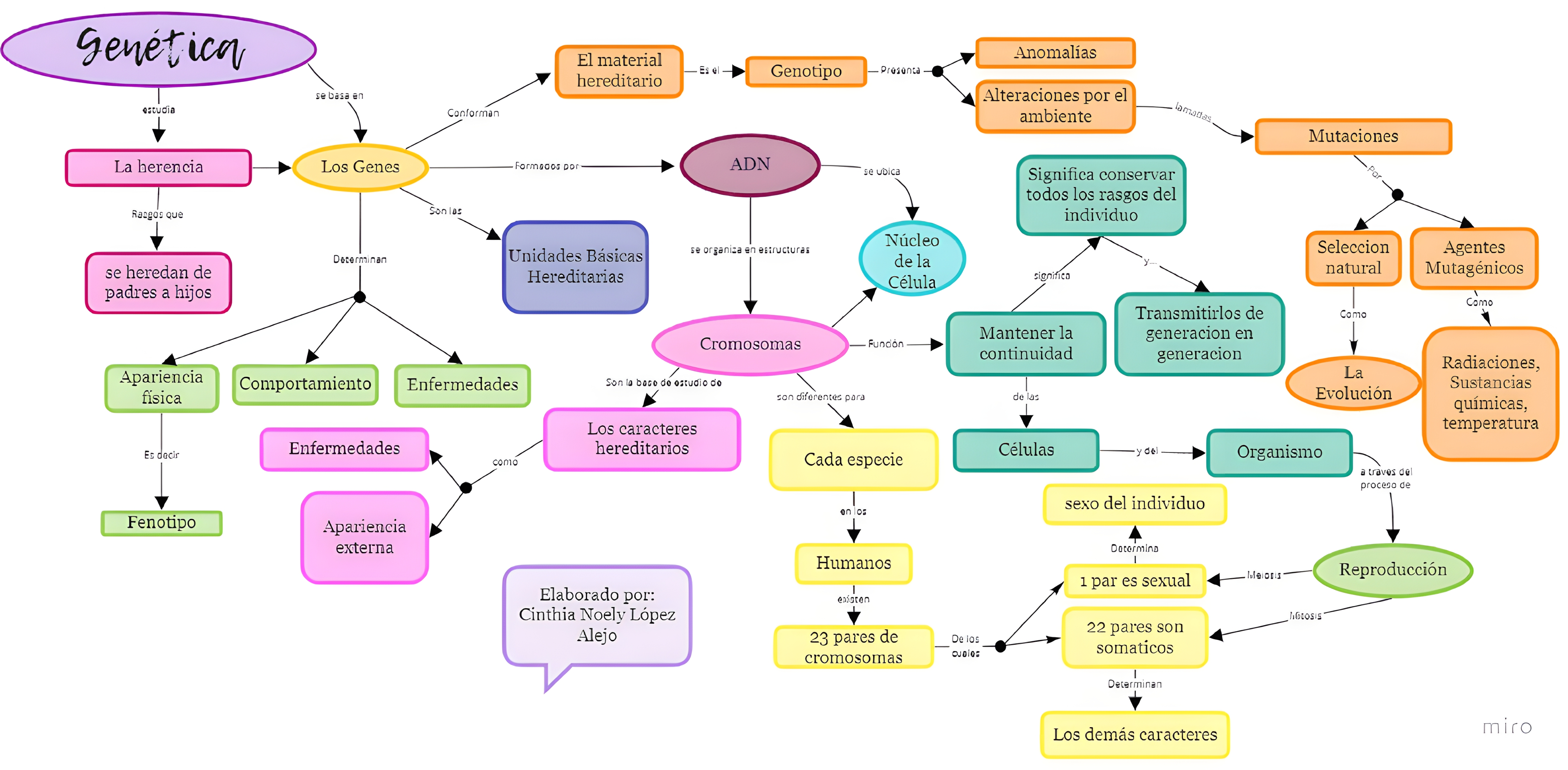 MAPA MENTAL SOBRE CONCEITOS DE GENETICA