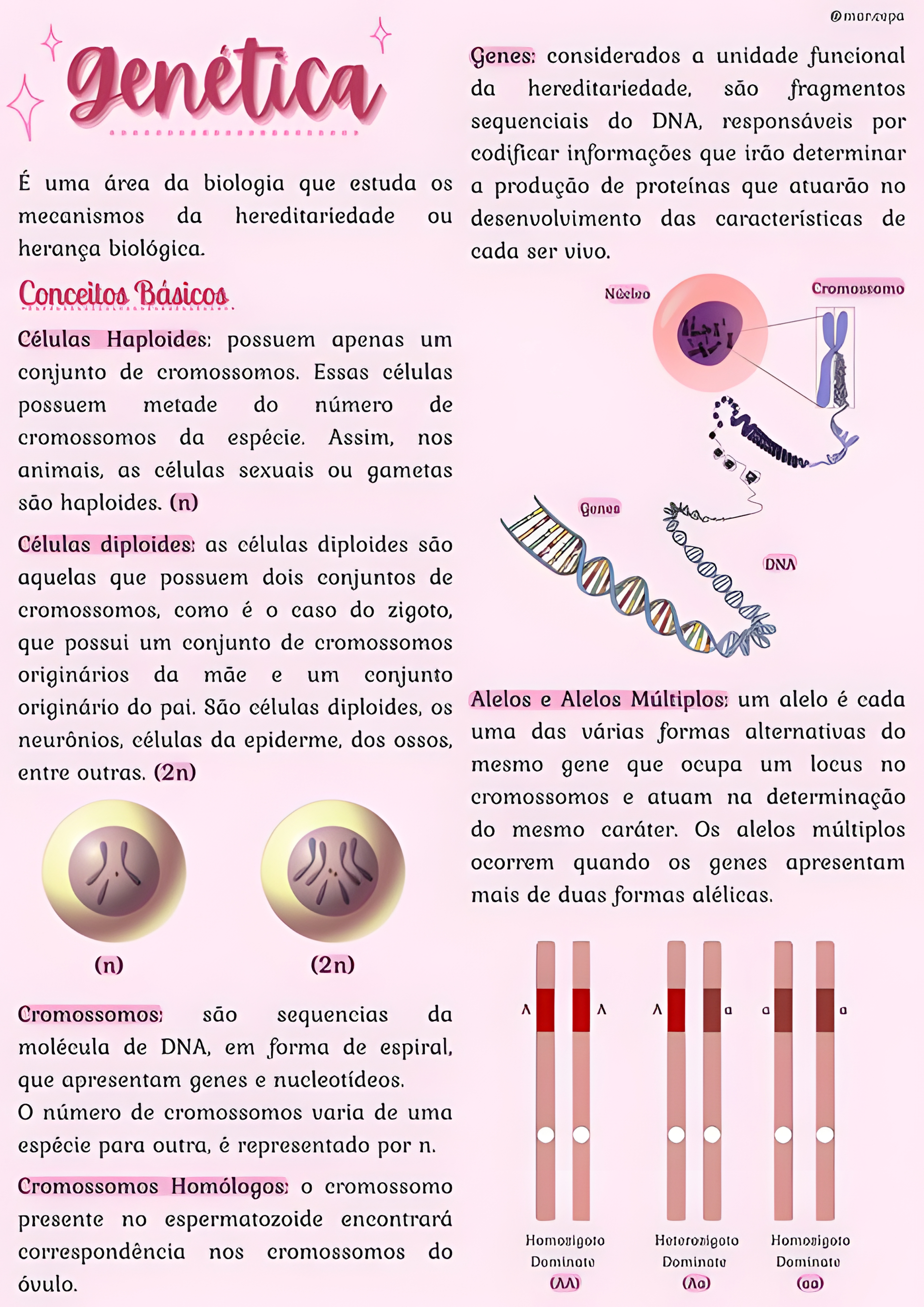 MAPA MENTAL SOBRE CONCEITOS DE GENETICA