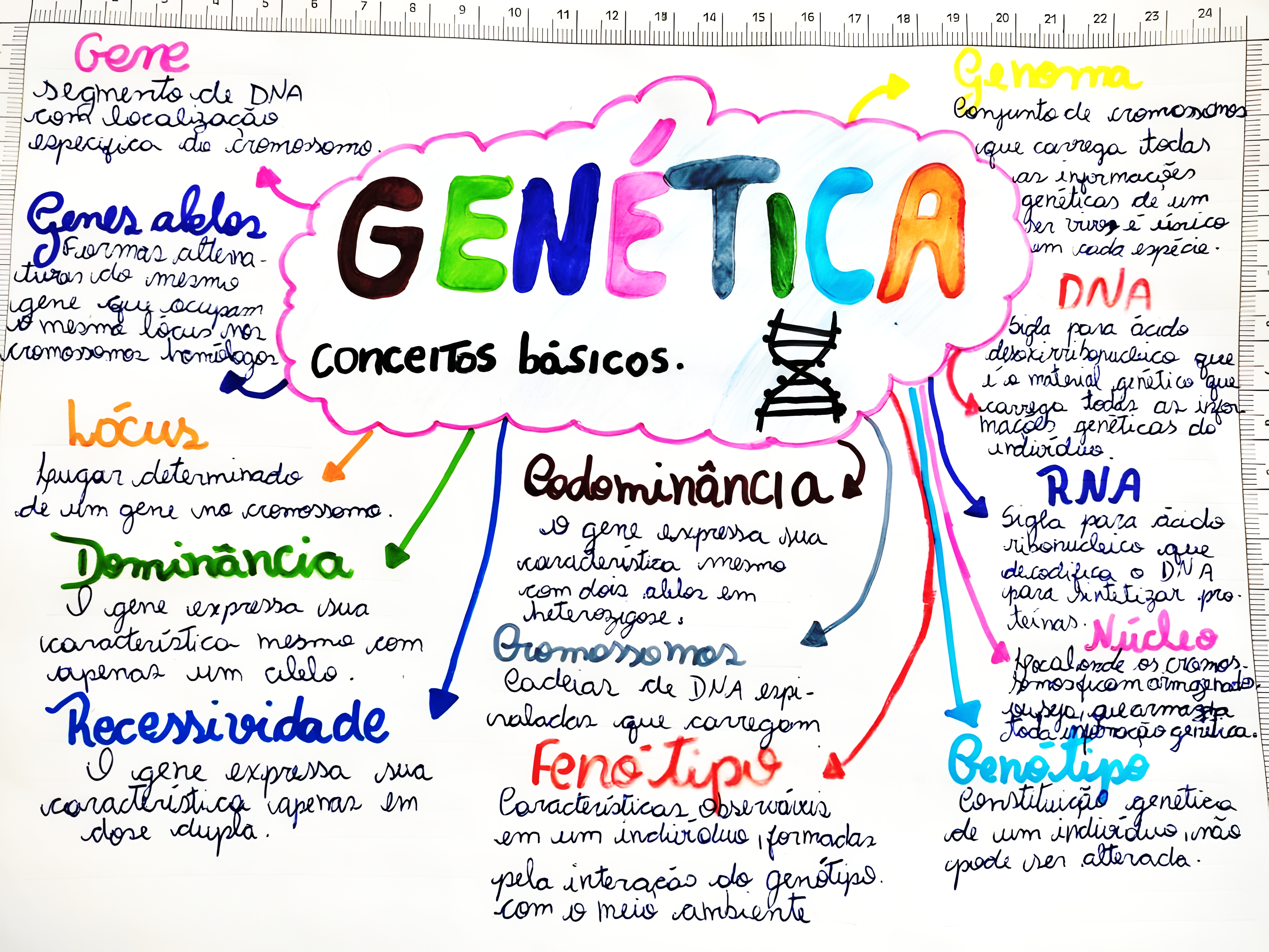 MAPA MENTAL SOBRE CONCEITOS DE GENETICA