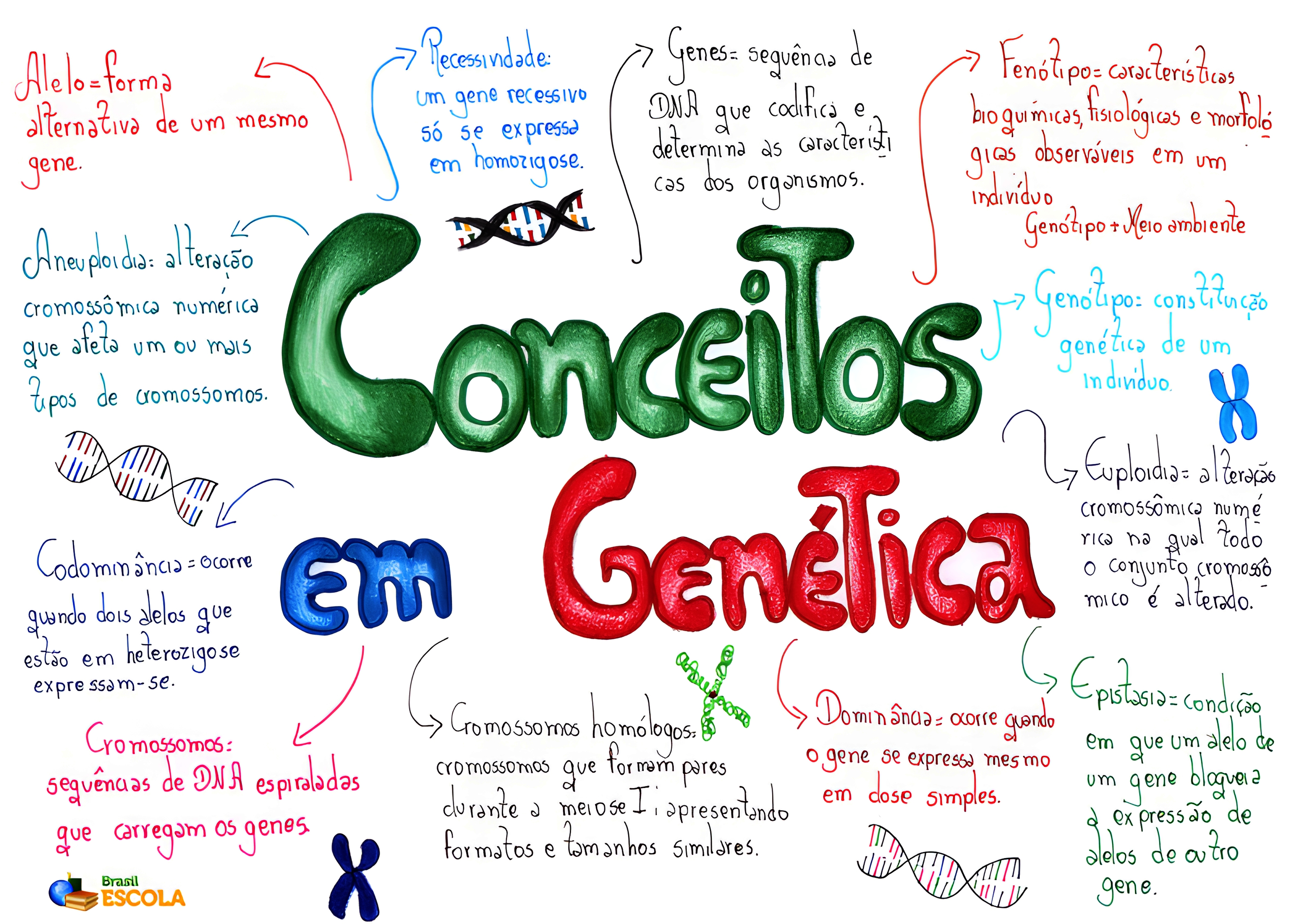 MAPA MENTAL SOBRE CONCEITOS DE GENETICA
