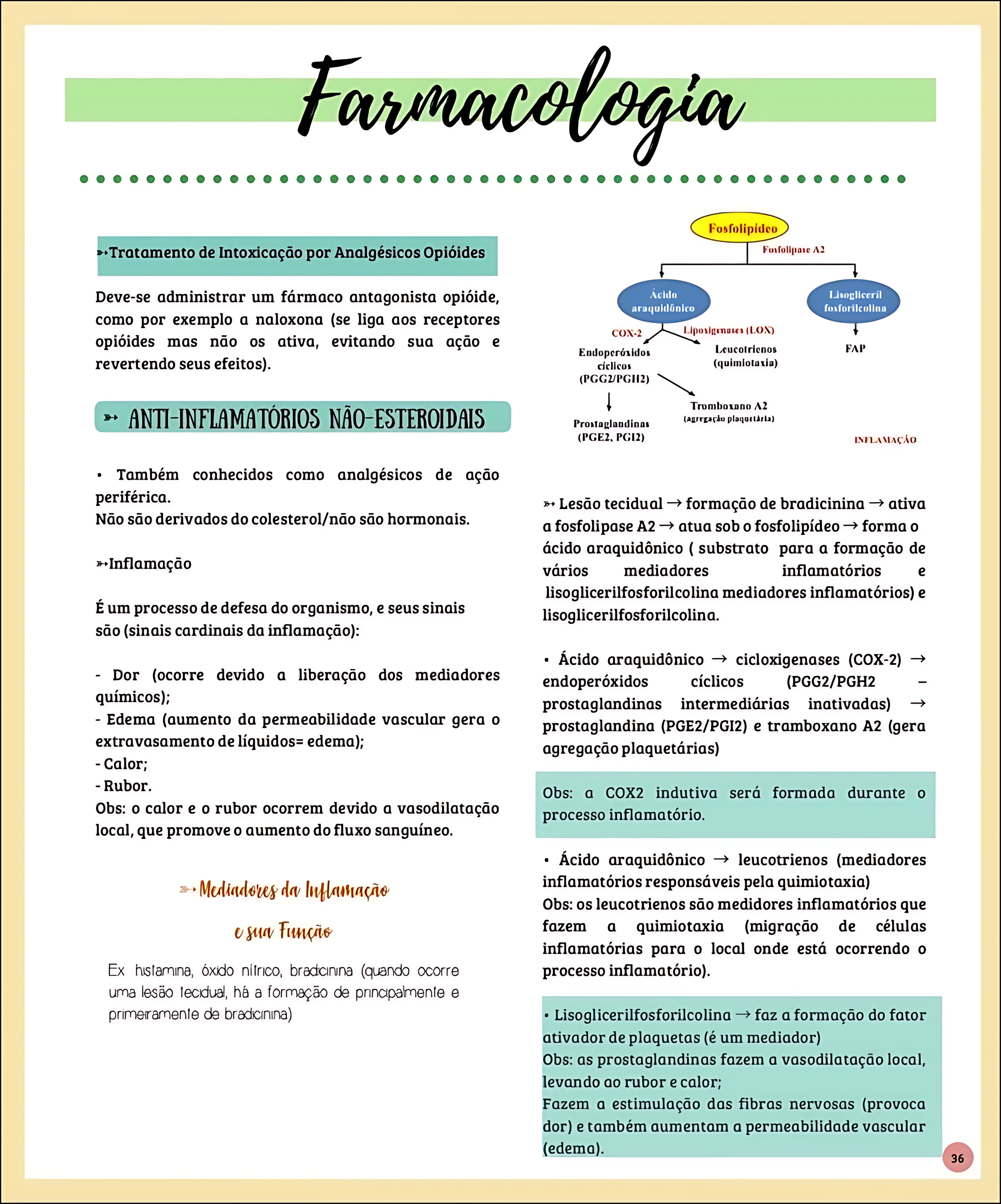 MAPA MENTAL SOBRE FARMACOLOGIA