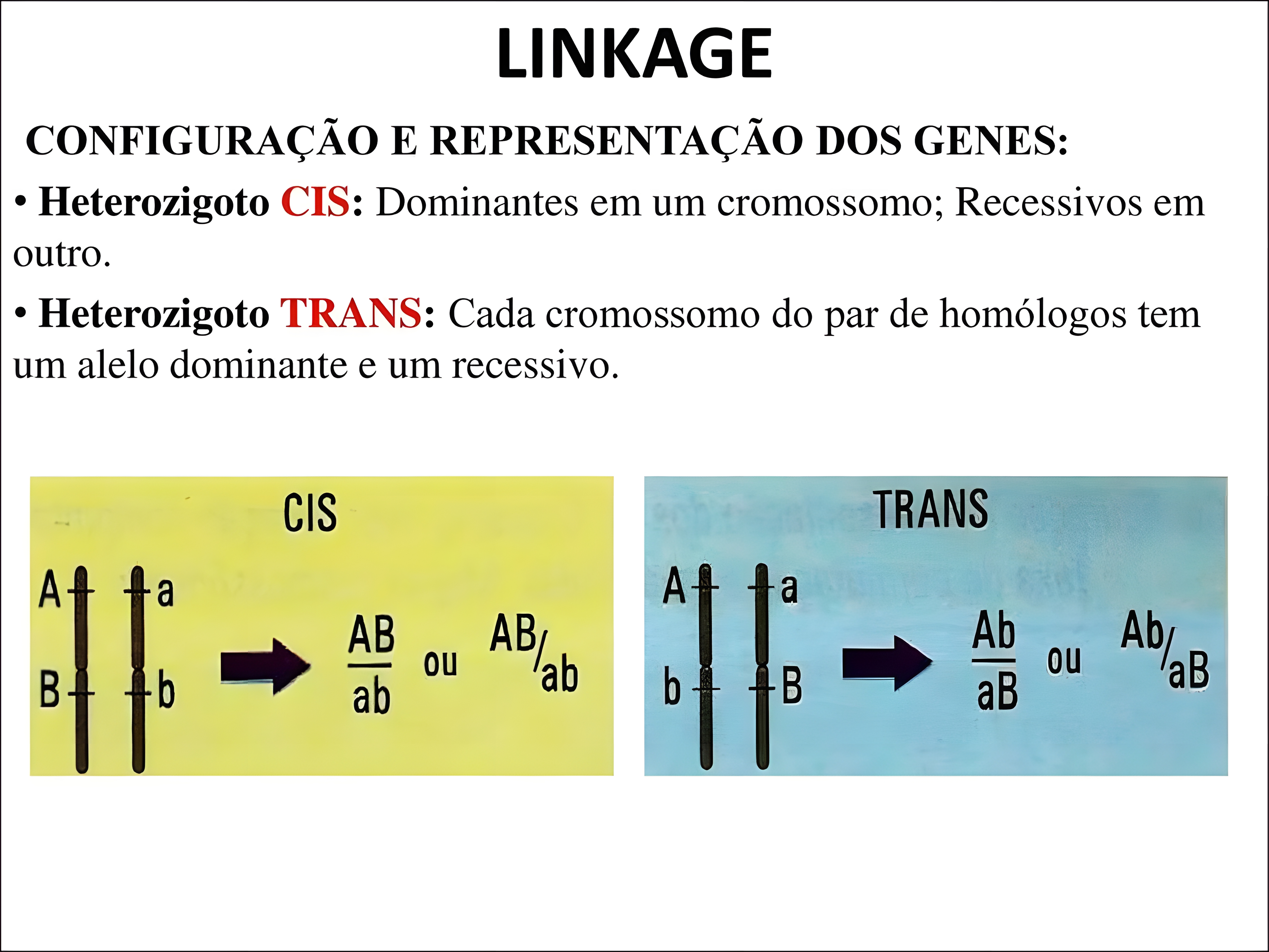 MAPA MENTAL SOBRE LINKAGE