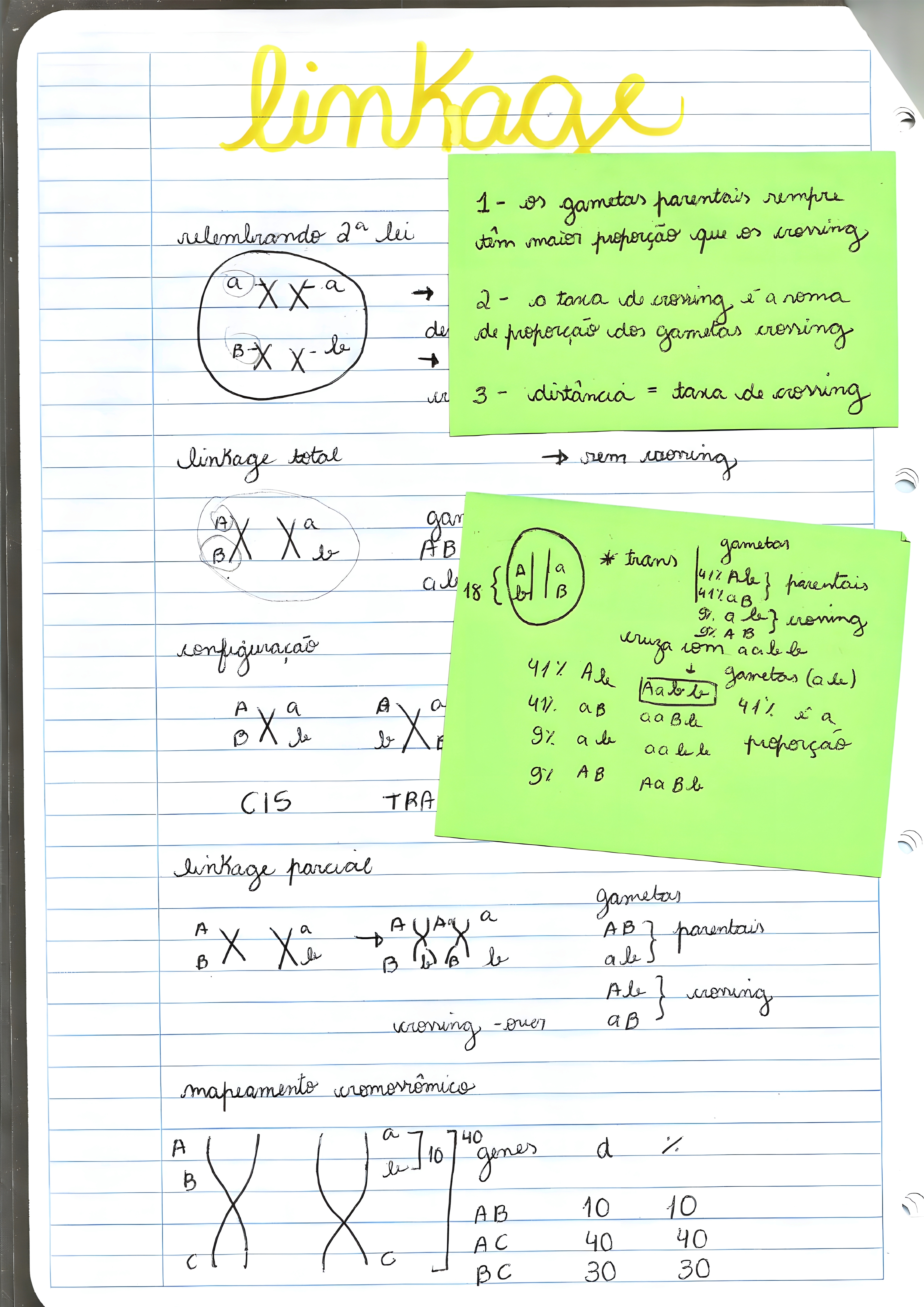 MAPA MENTAL SOBRE LINKAGE