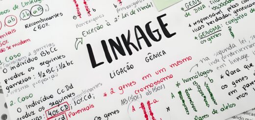 MAPA MENTAL SOBRE LINKAGE