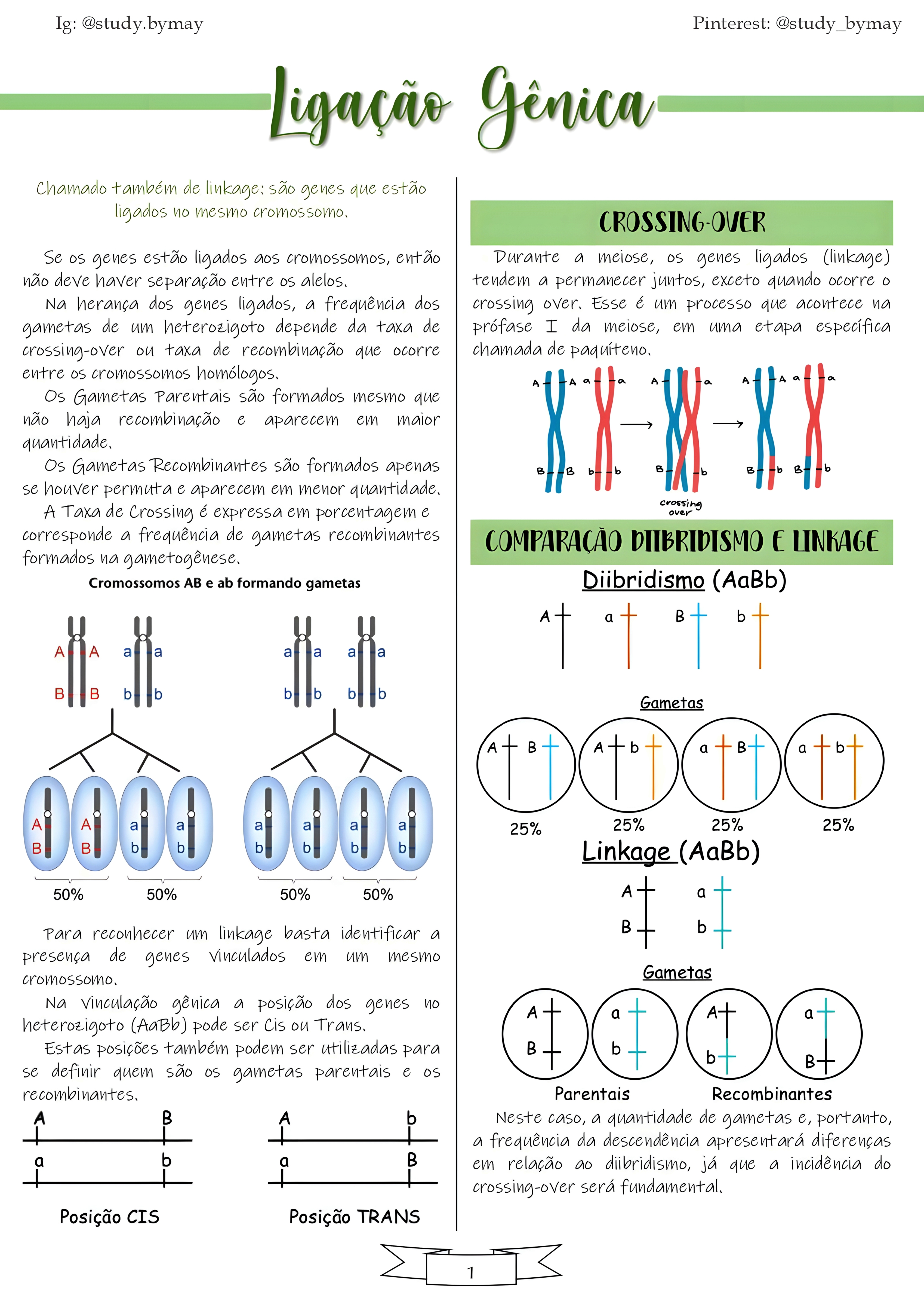 MAPA MENTAL SOBRE LINKAGE