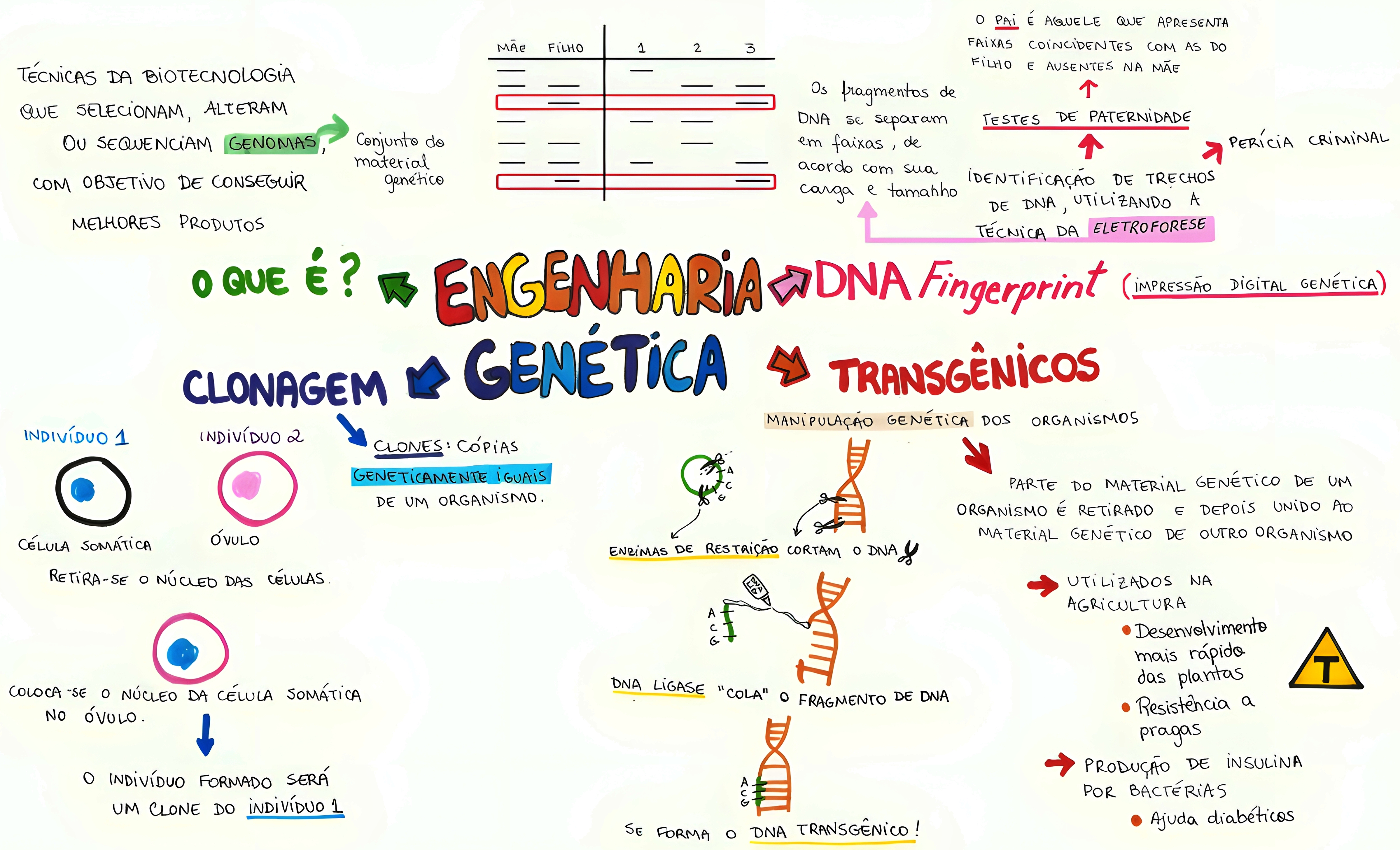 MAPA MENTAL SOBRE LINKAGE