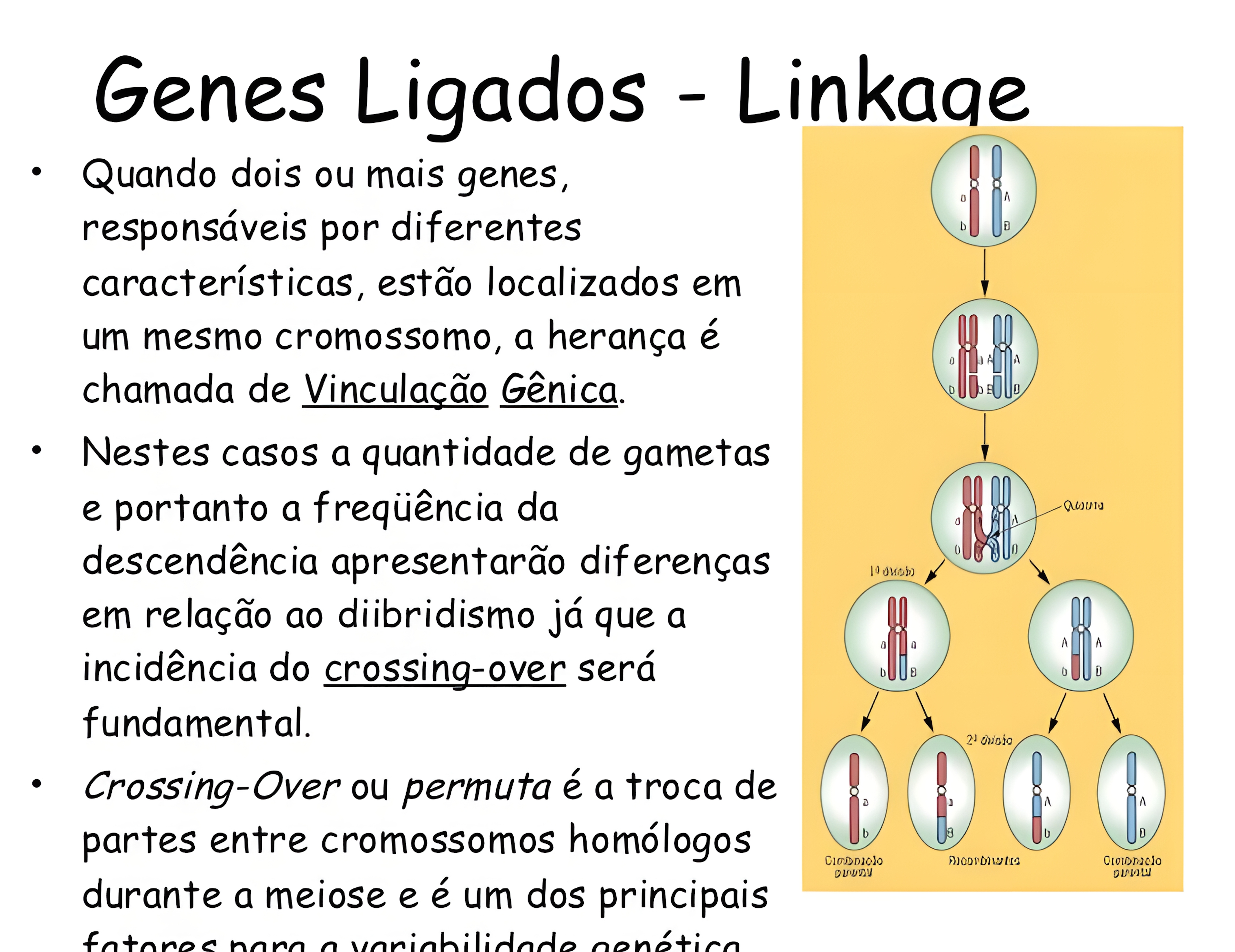 MAPA MENTAL SOBRE LINKAGE