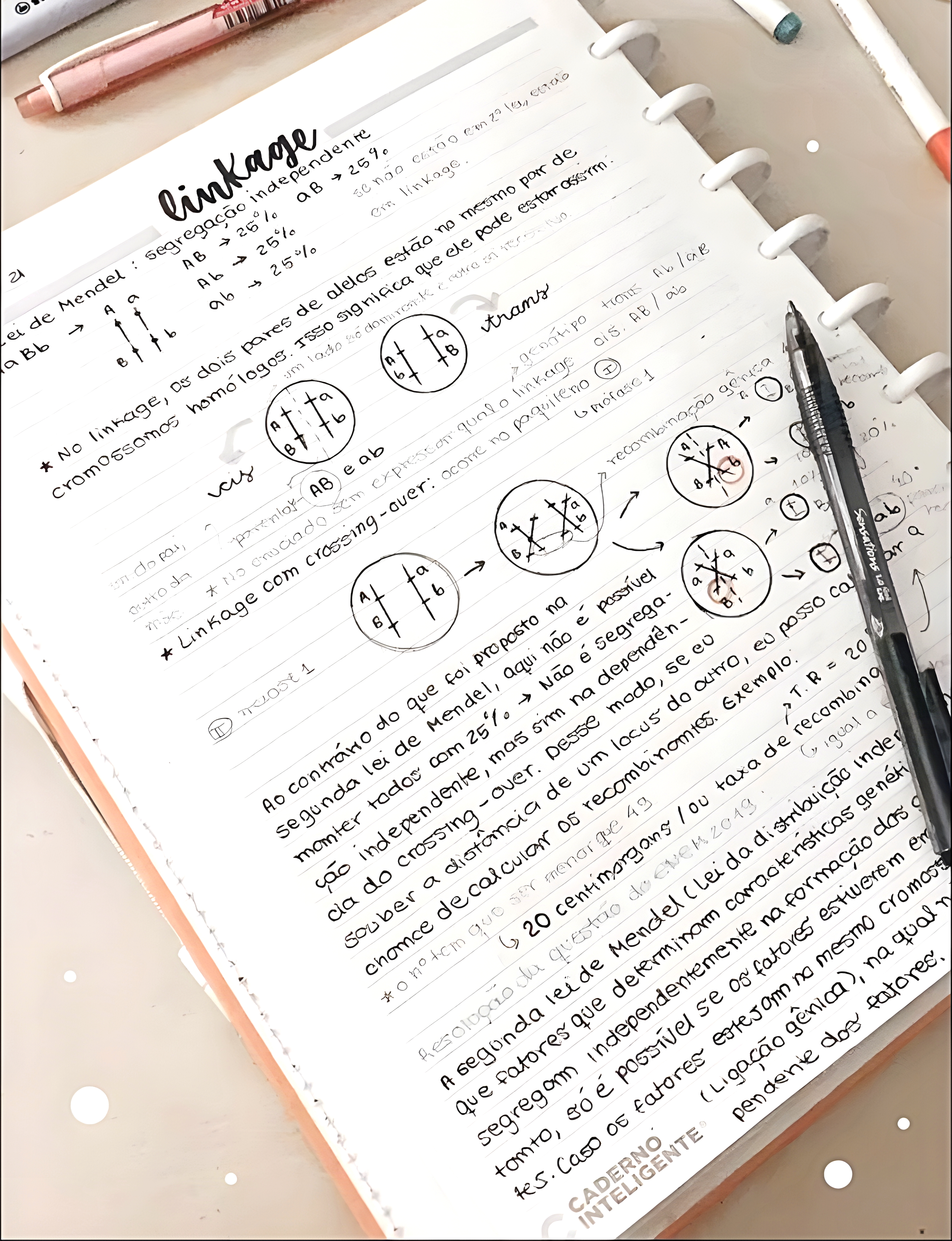 MAPA MENTAL SOBRE LINKAGE