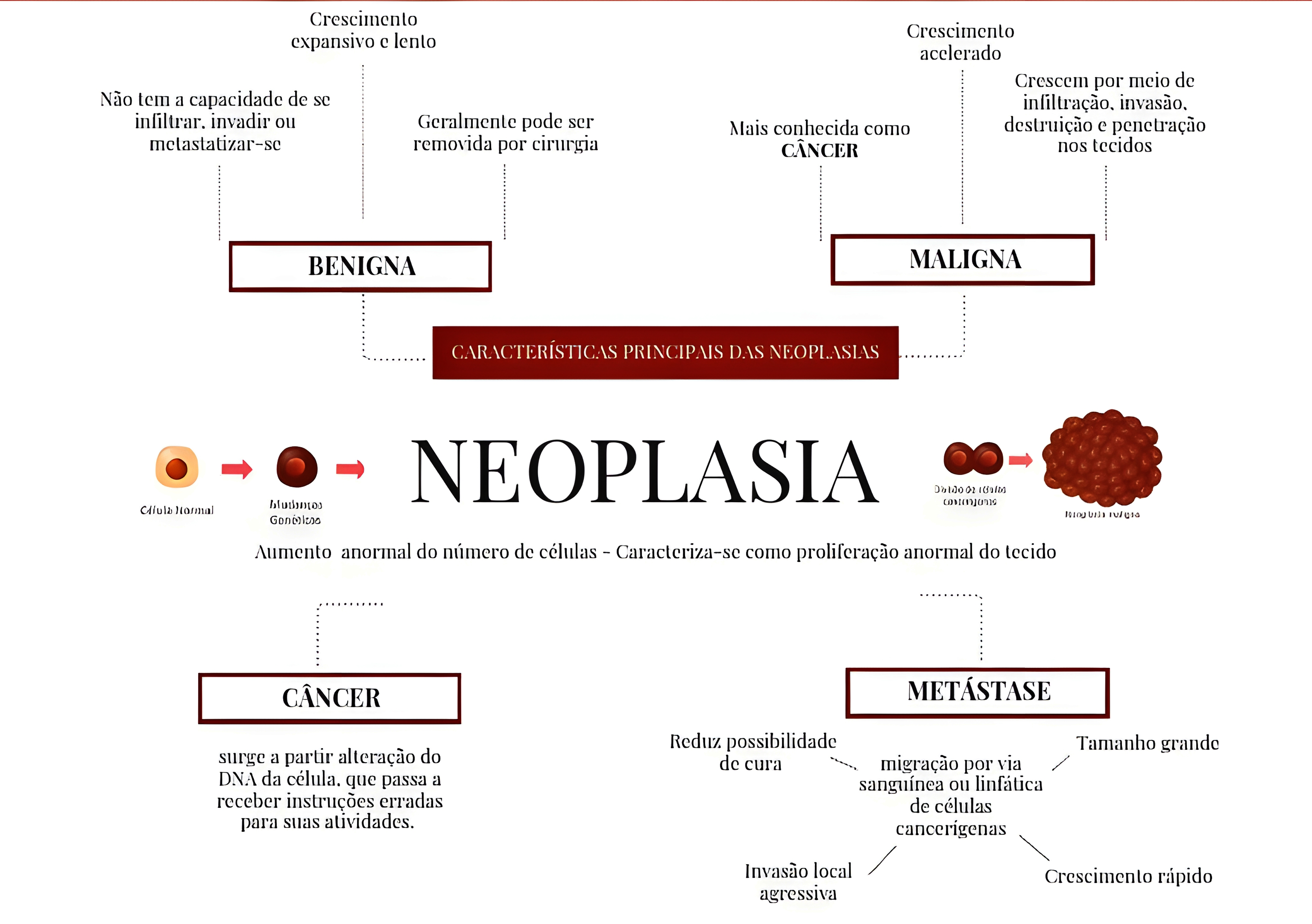 MAPA MENTAL SOBRE NEOPLASIA