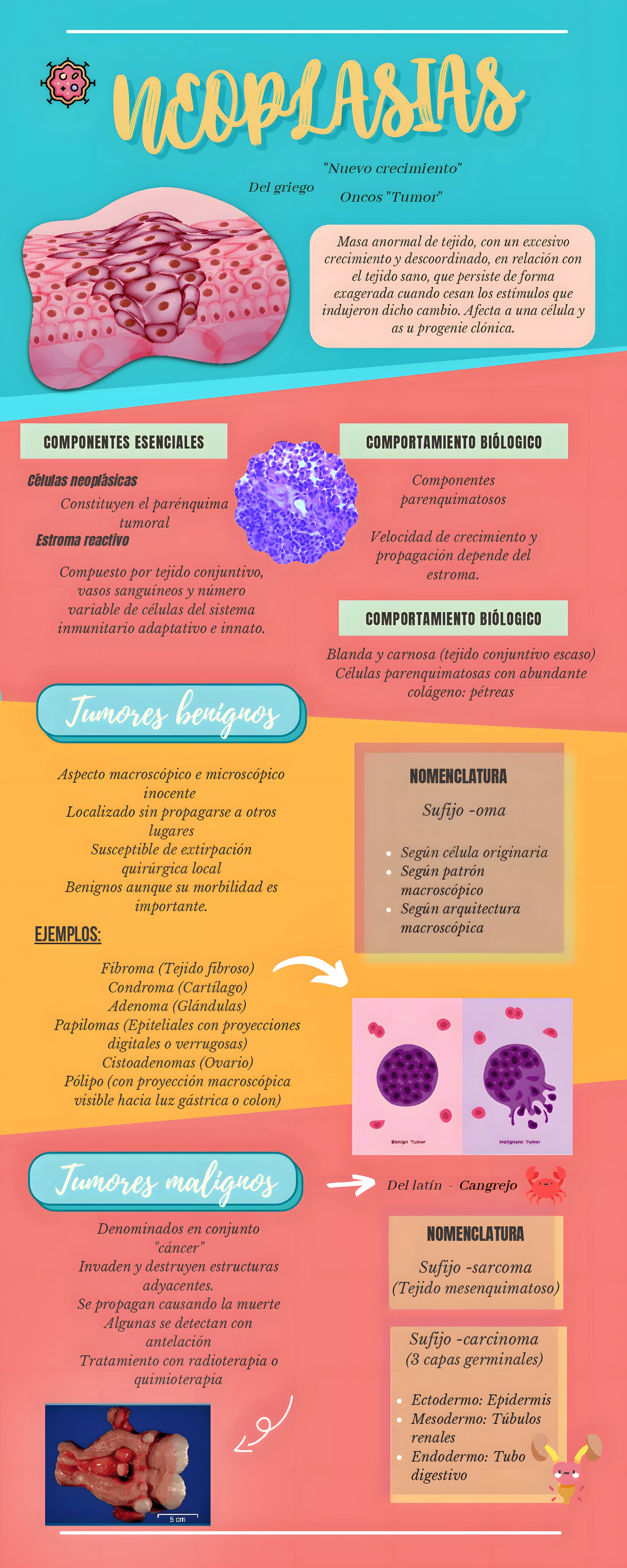 MAPA MENTAL SOBRE NEOPLASIA