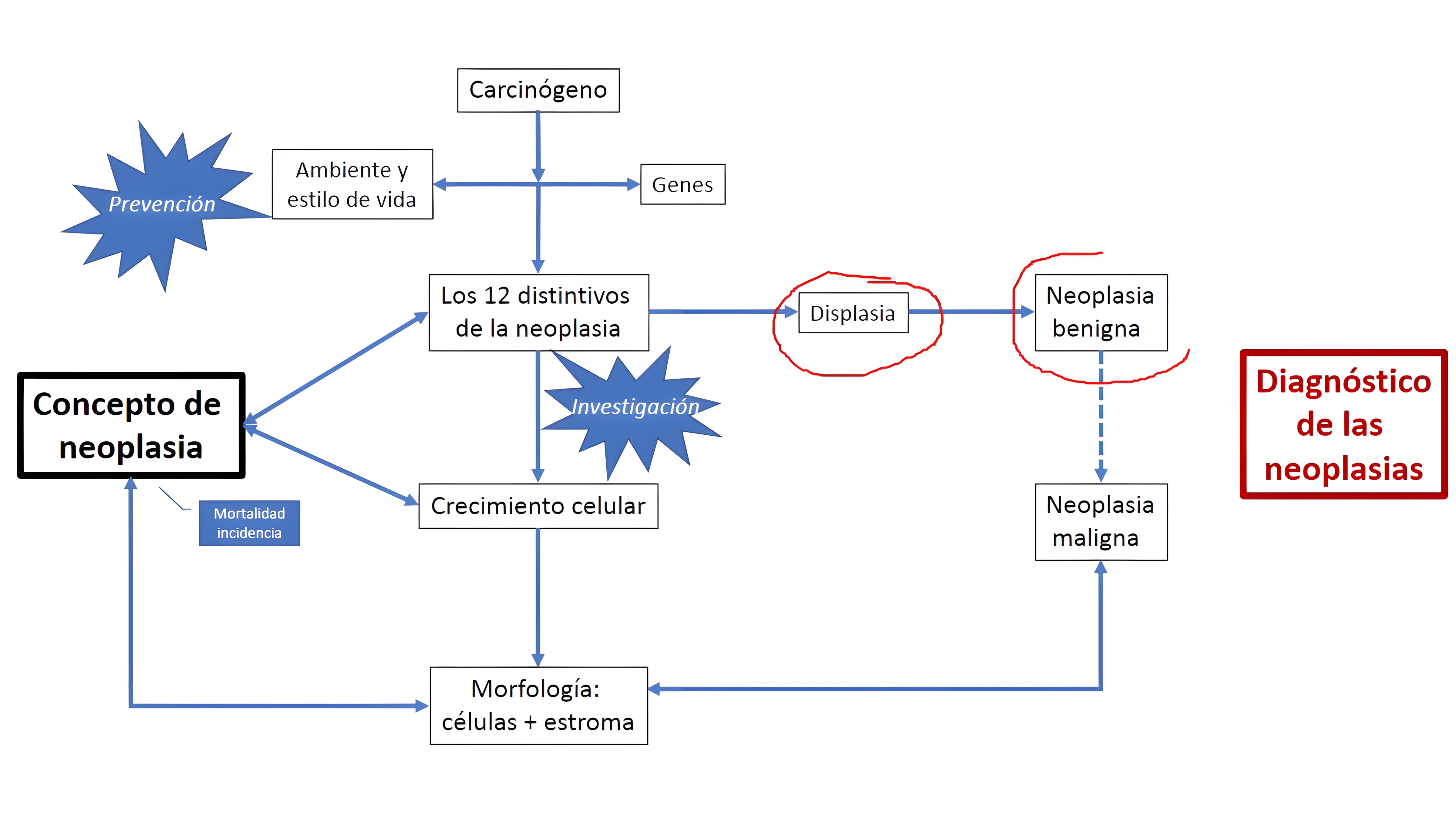 MAPA MENTAL SOBRE NEOPLASIA