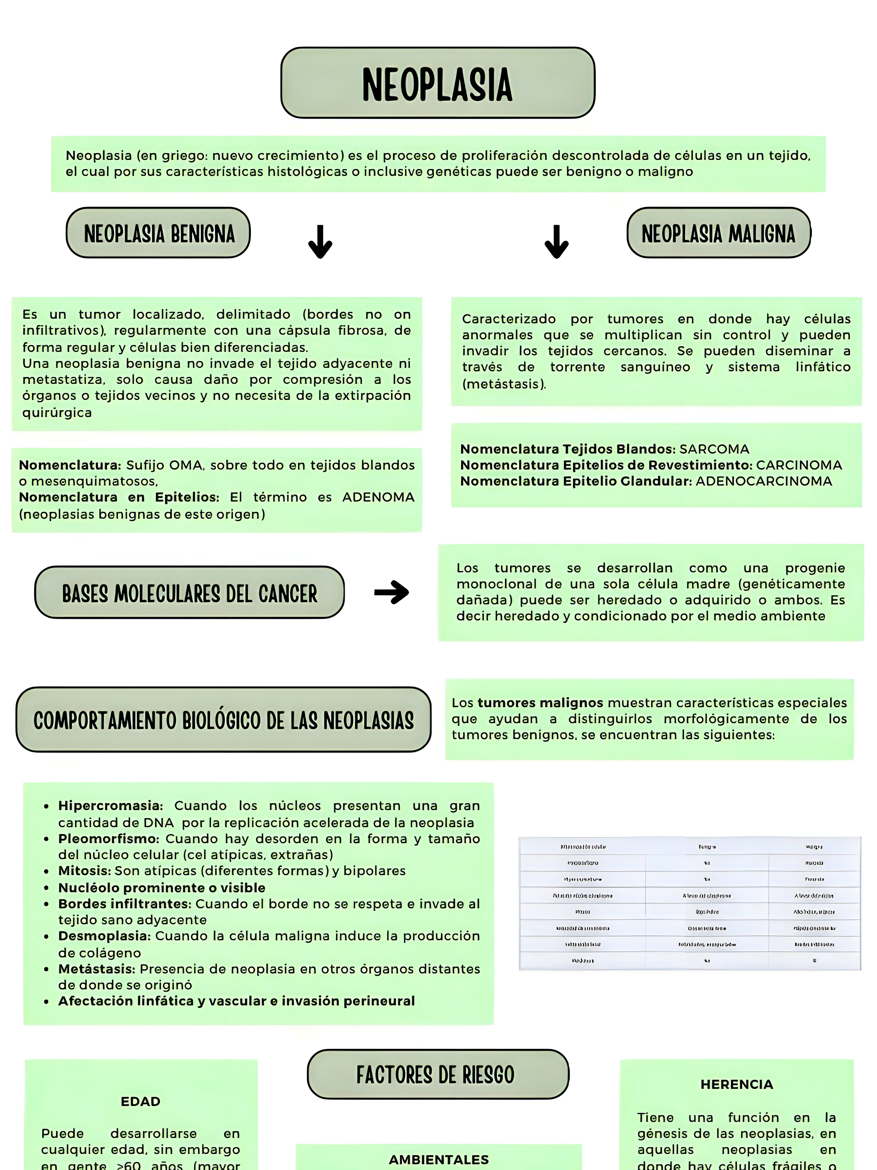 MAPA MENTAL SOBRE NEOPLASIA