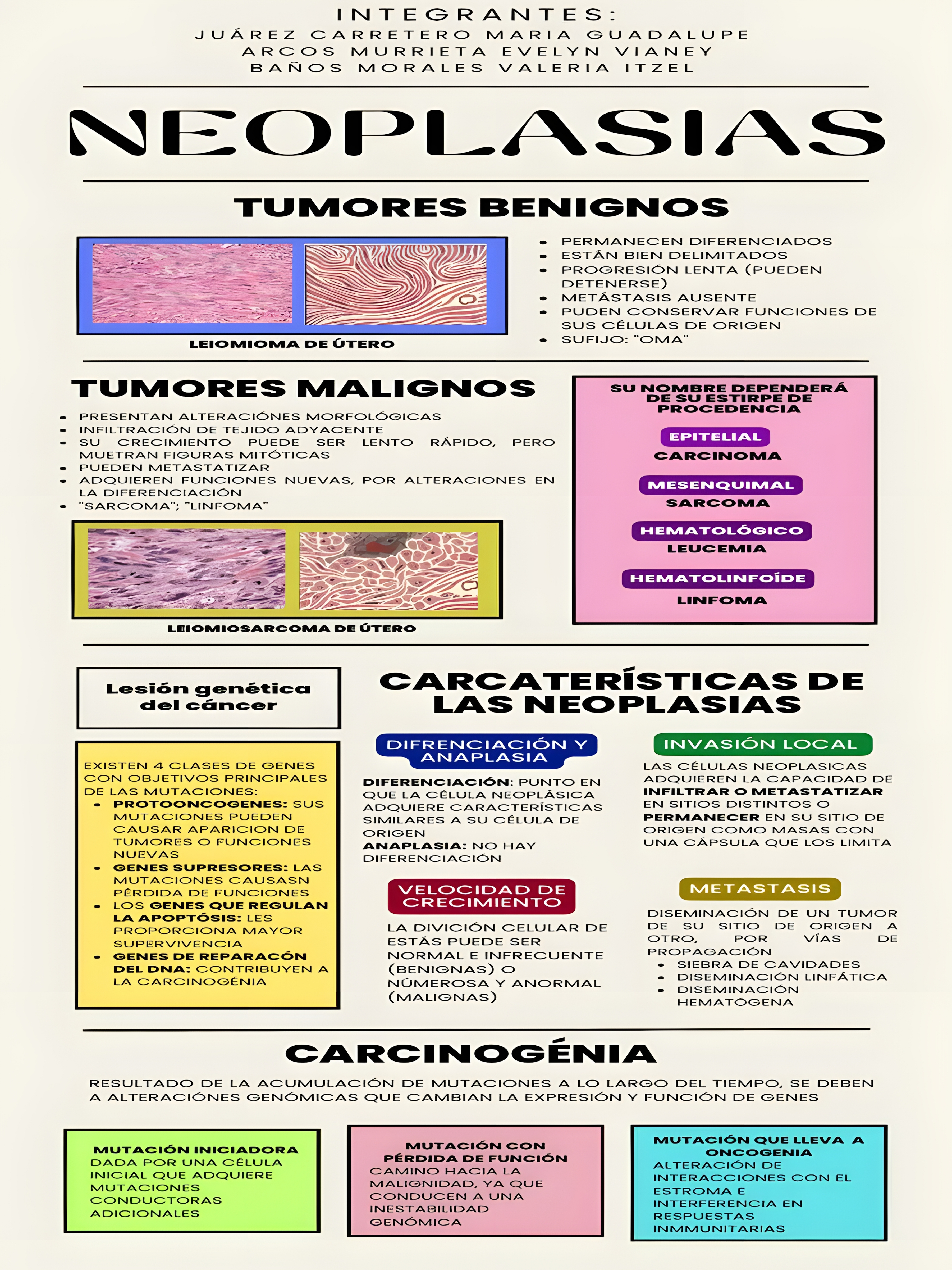 MAPA MENTAL SOBRE NEOPLASIA