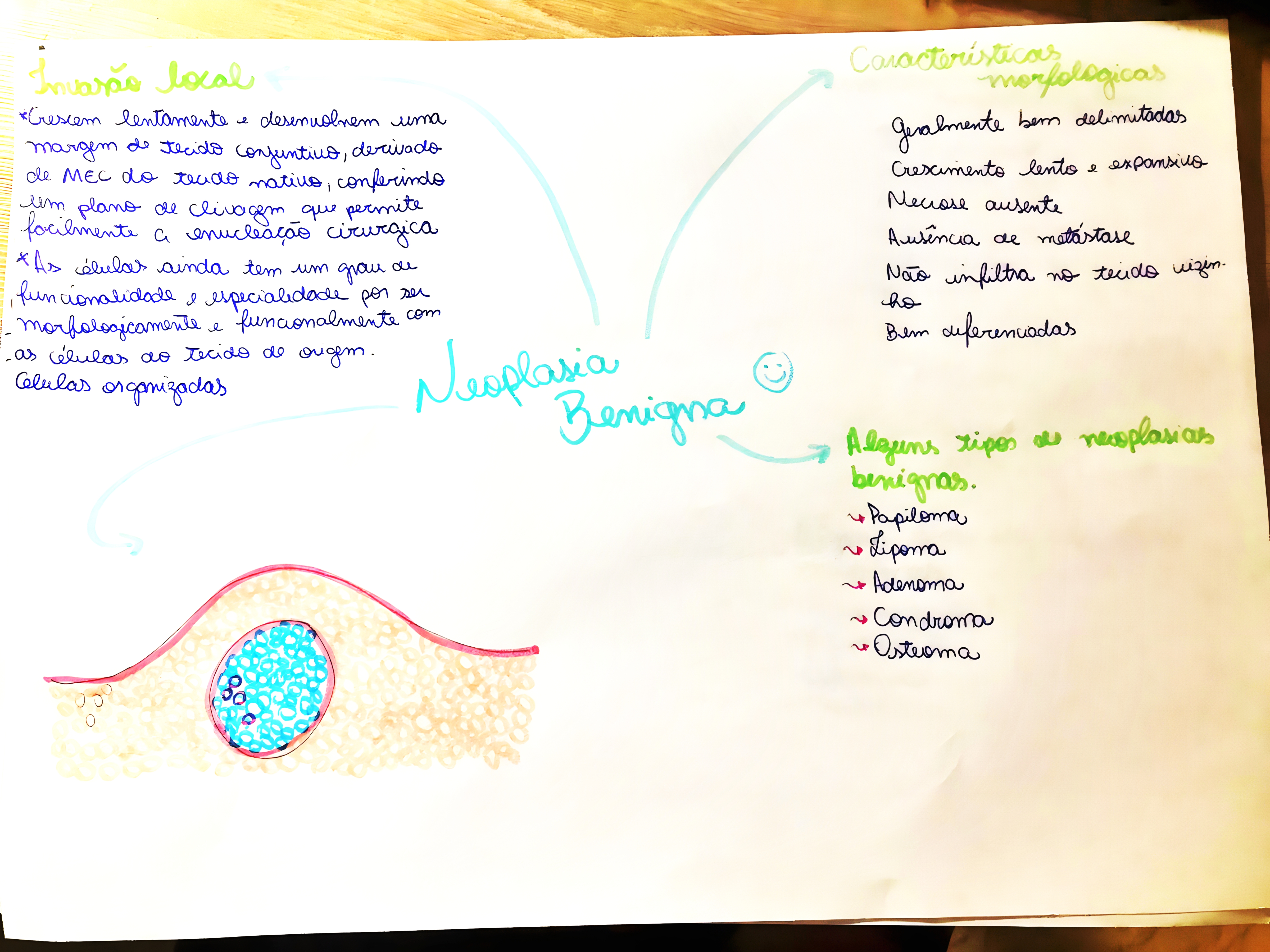 MAPA MENTAL SOBRE NEOPLASIA