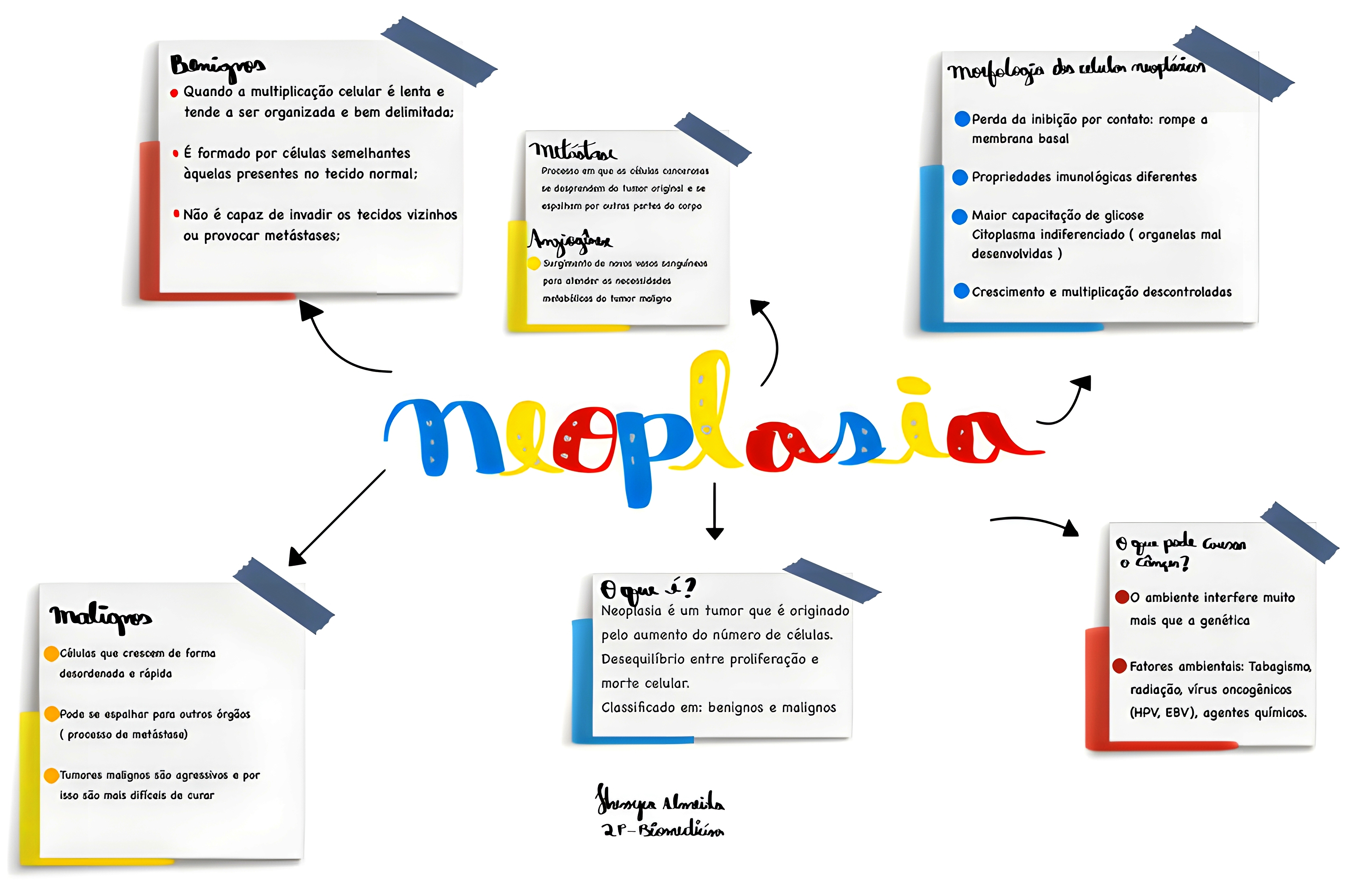 MAPA MENTAL SOBRE NEOPLASIA