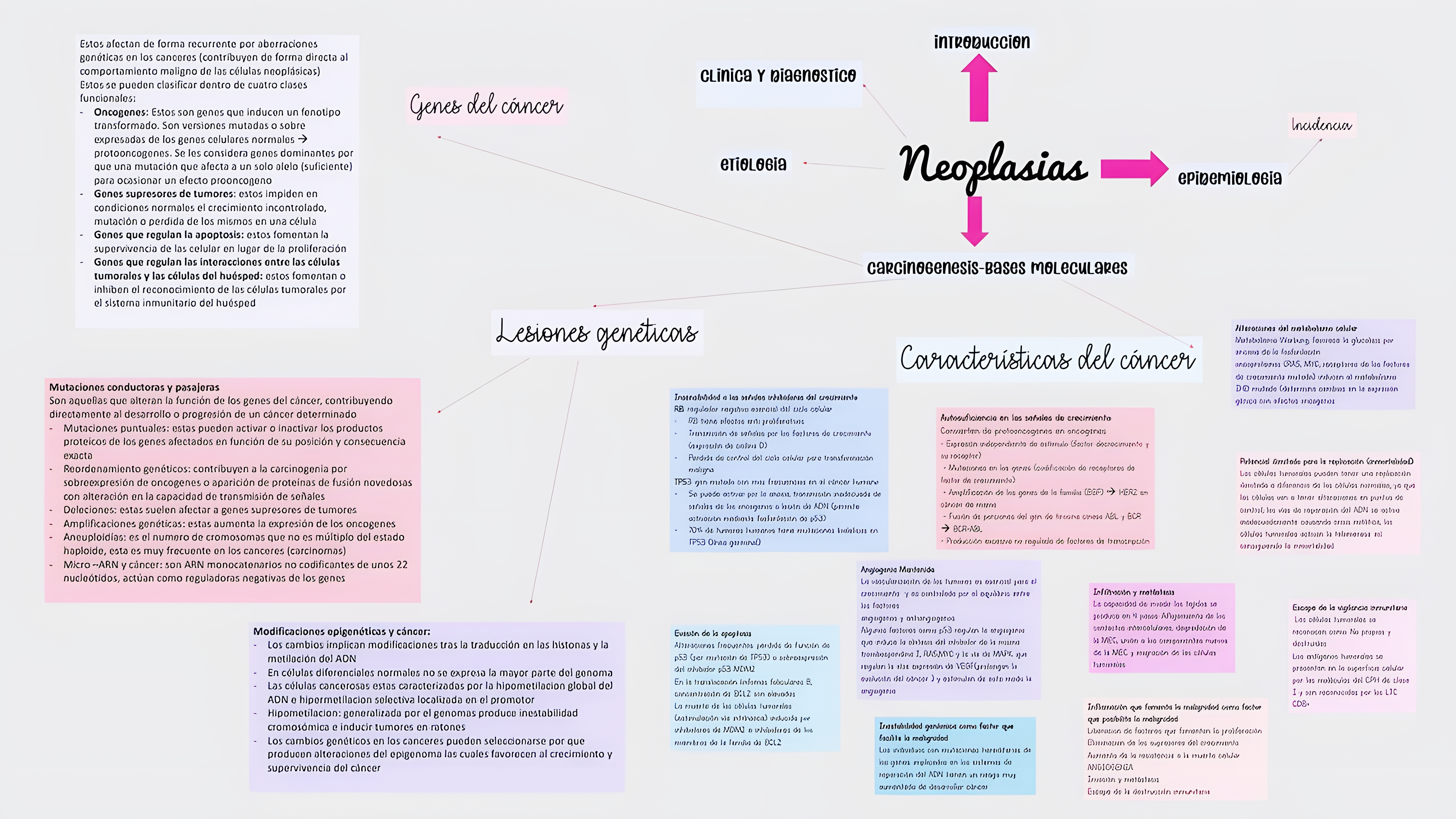 MAPA MENTAL SOBRE NEOPLASIA