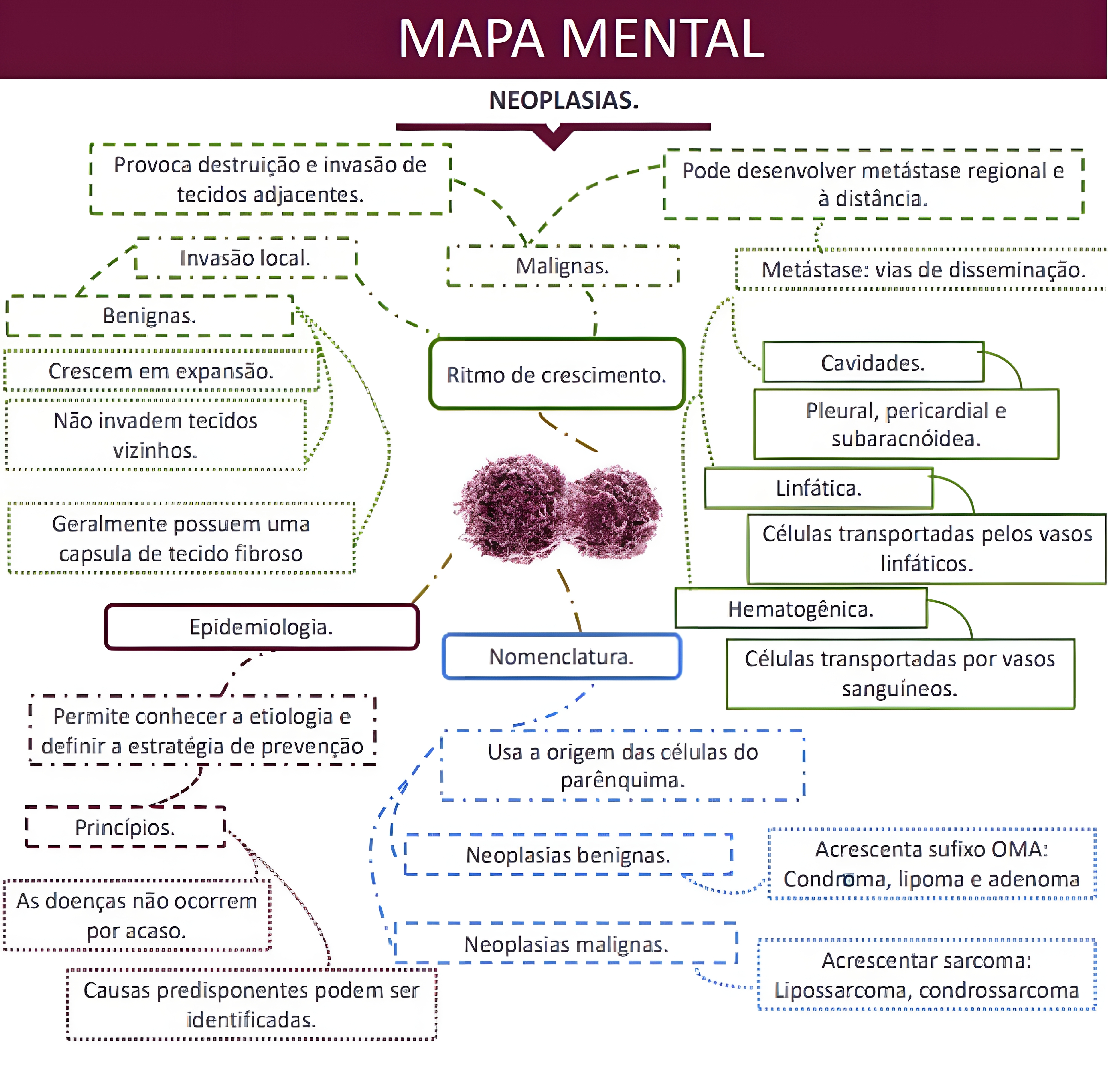 MAPA MENTAL SOBRE NEOPLASIA
