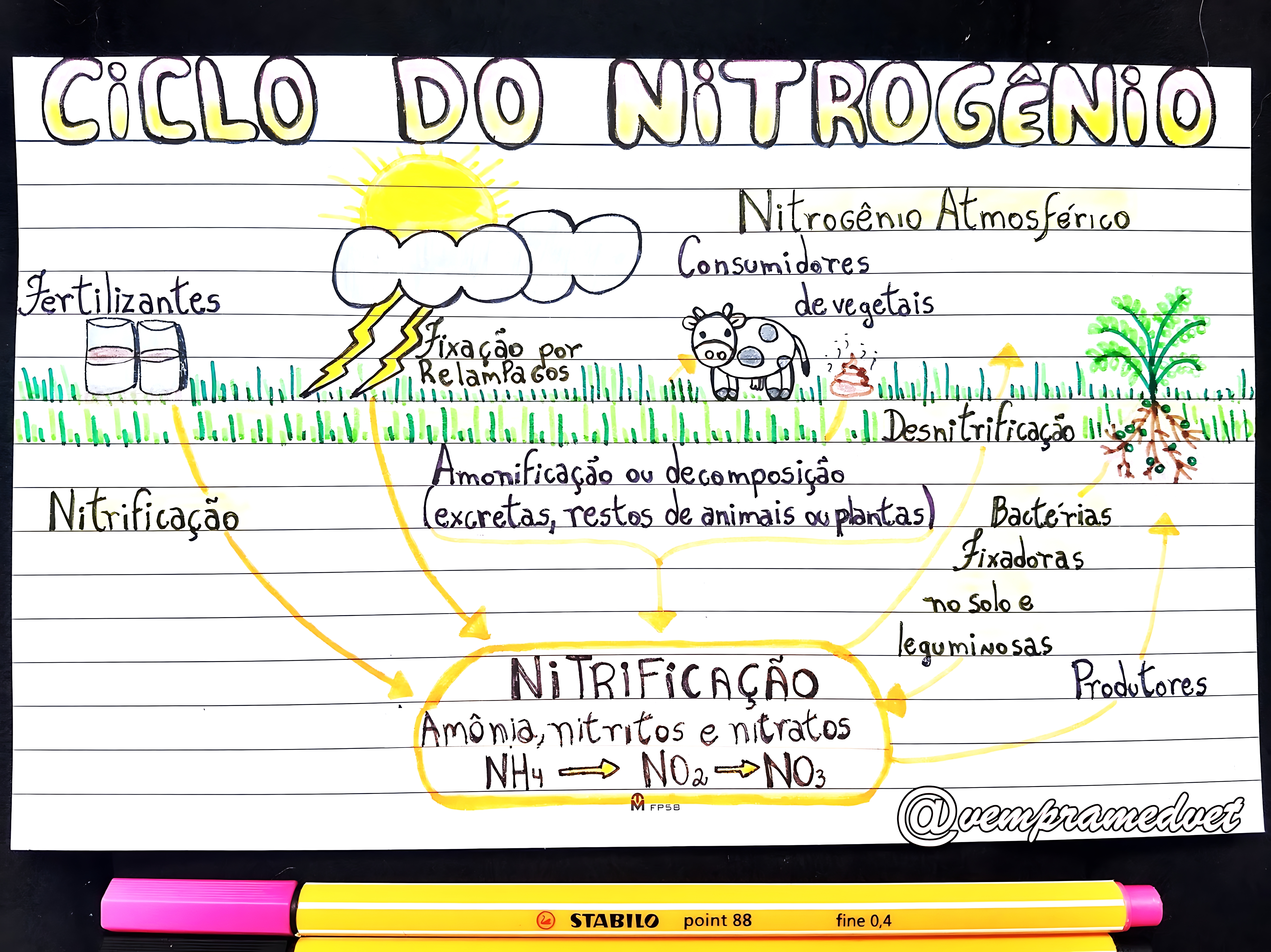 MAPA MENTAL SOBRE NITROGENIO