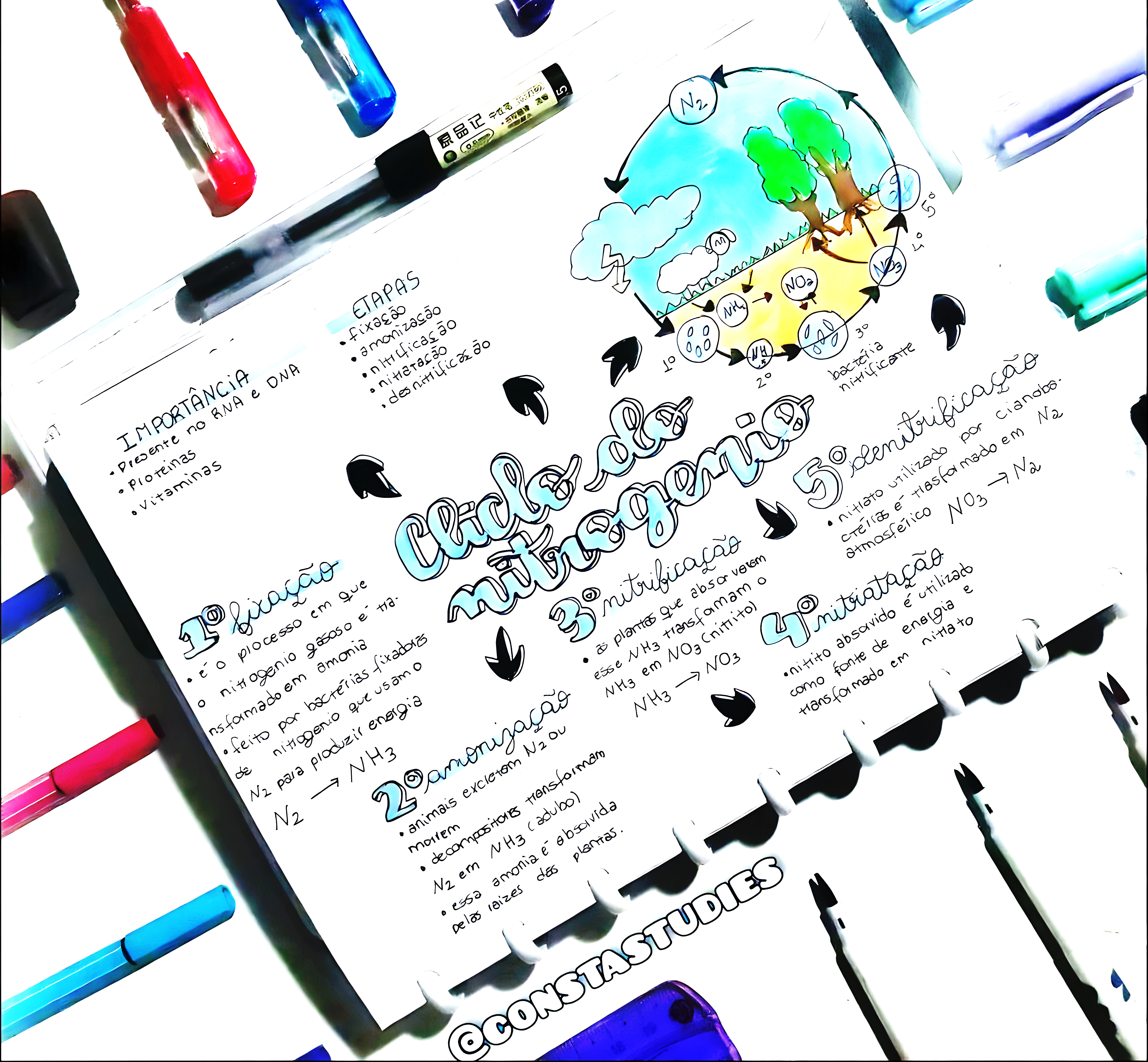 MAPA MENTAL SOBRE NITROGENIO